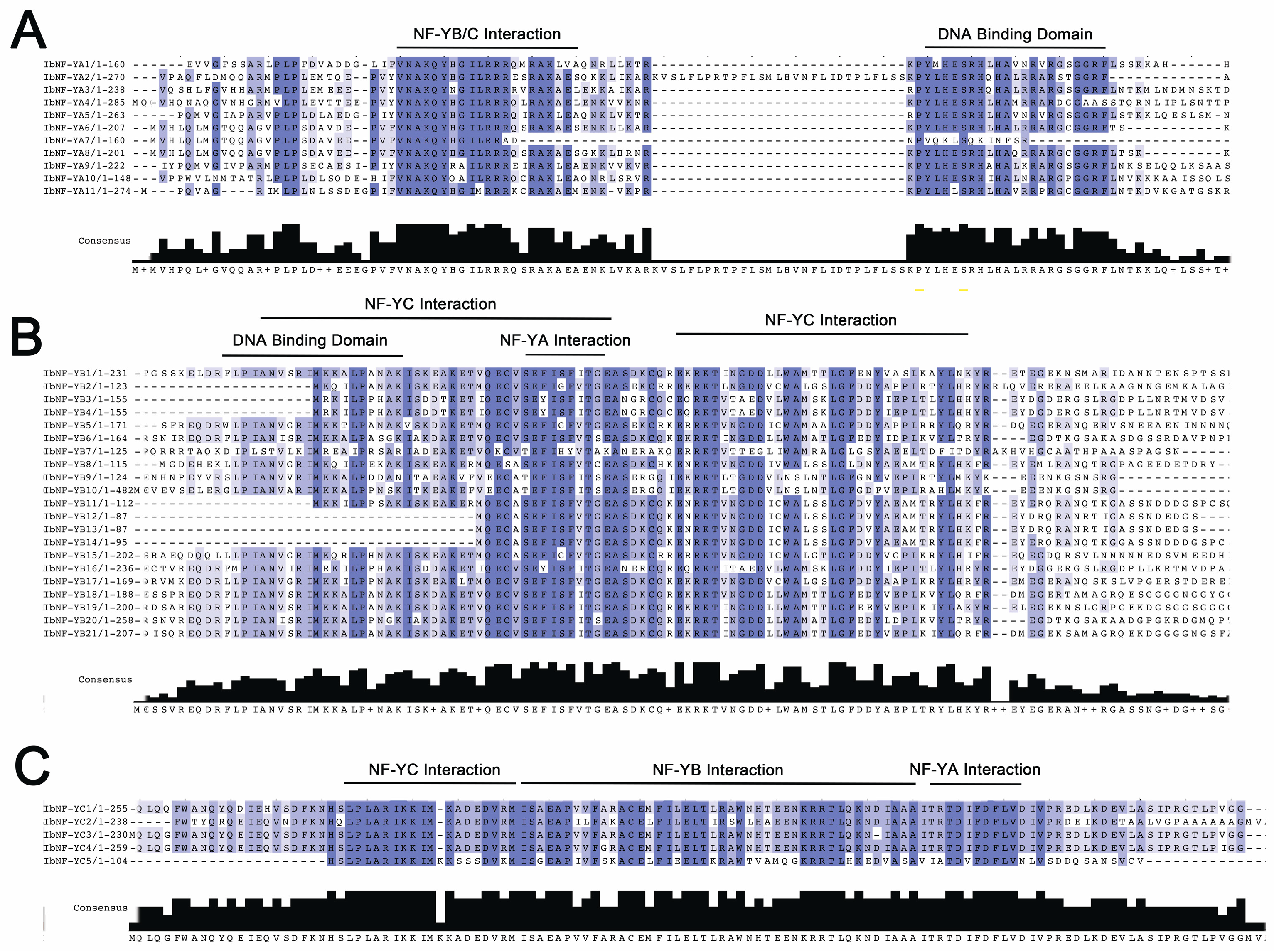 Horticulturae 10 00798 g003
