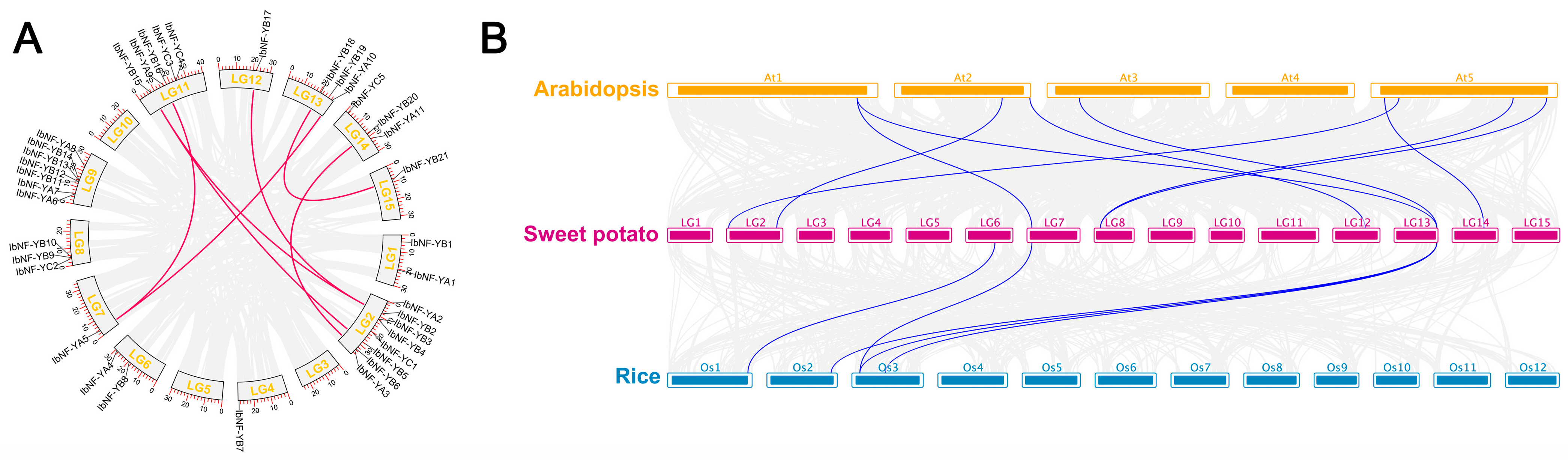 Horticulturae 10 00798 g004