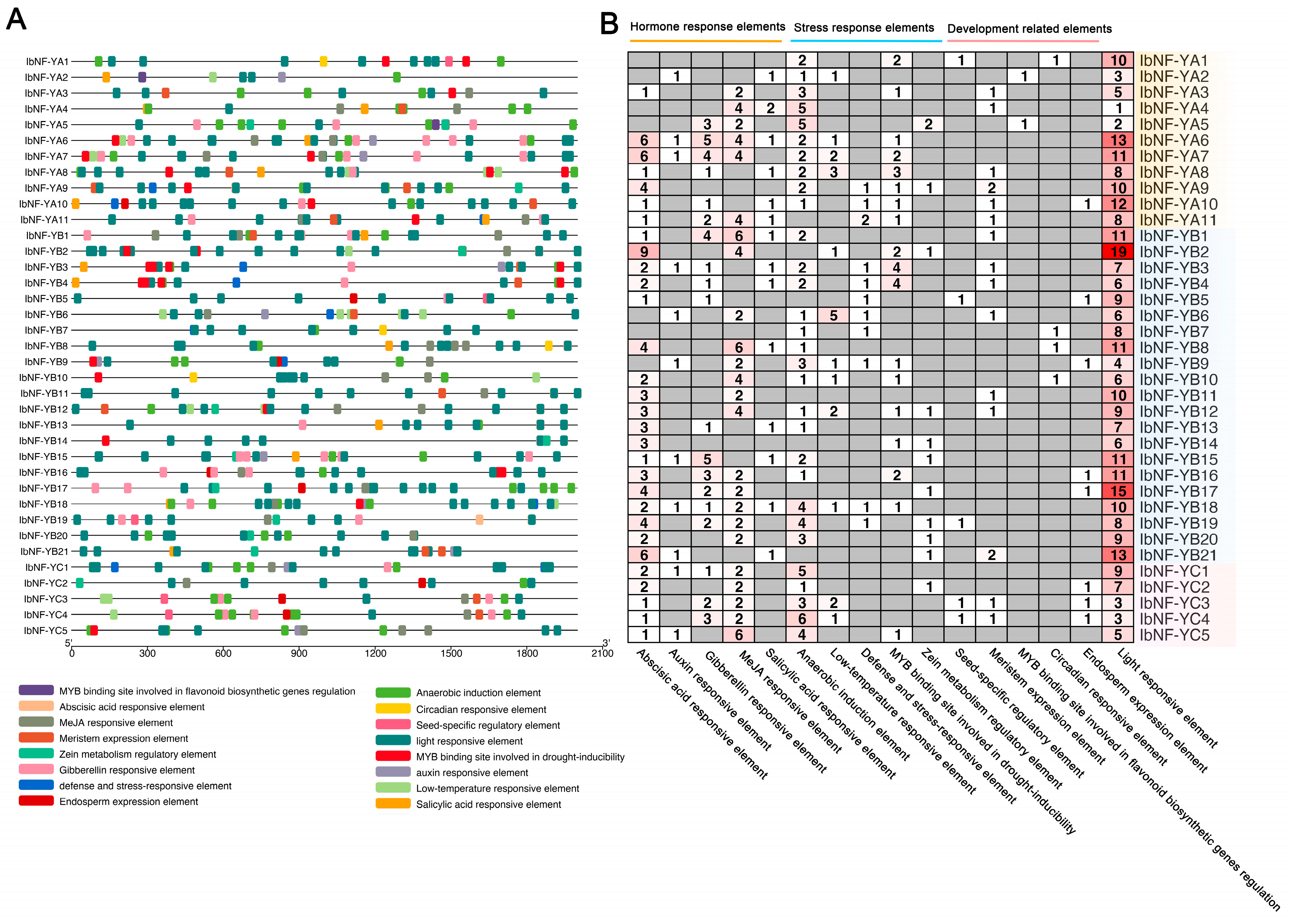 Horticulturae 10 00798 g005
