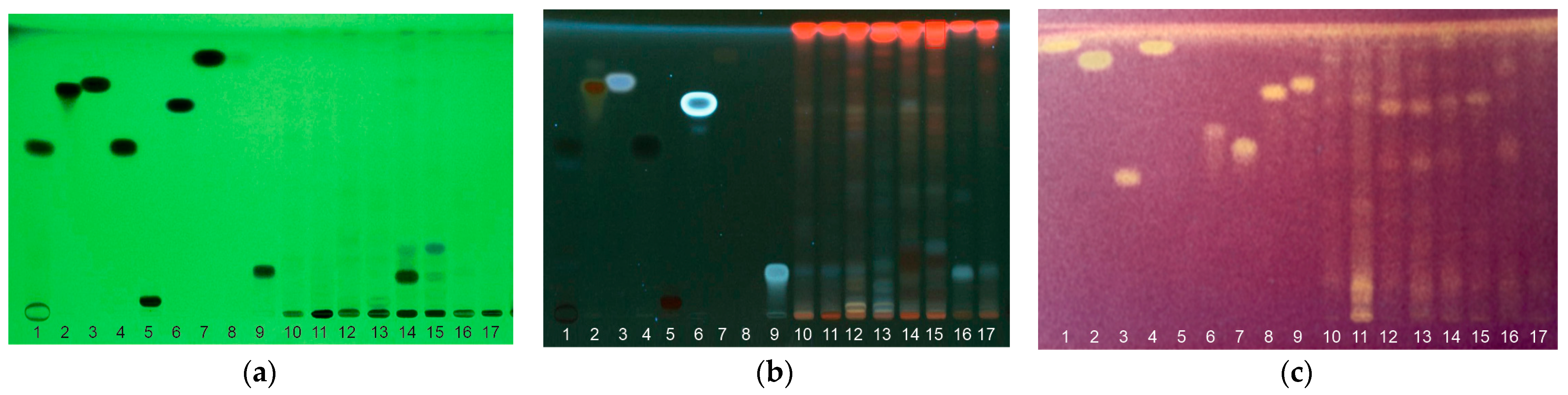 Horticulturae 10 00799 g004 Horticulturae 10 00799 g004