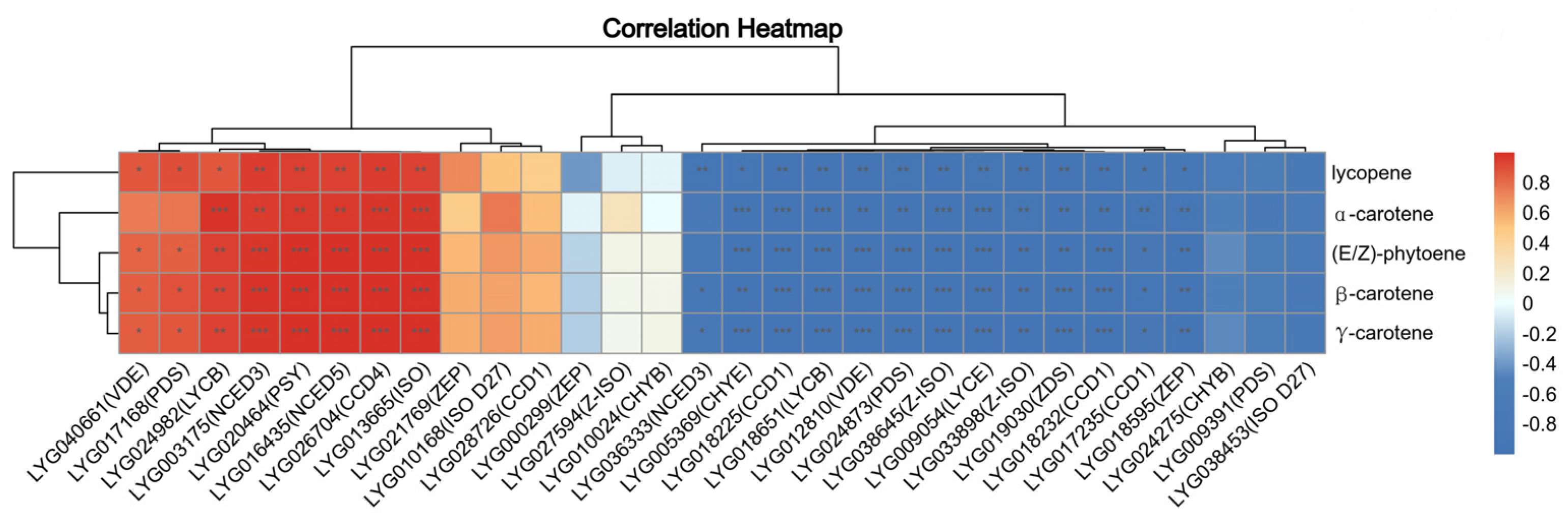 Horticulturae 10 00801 g007