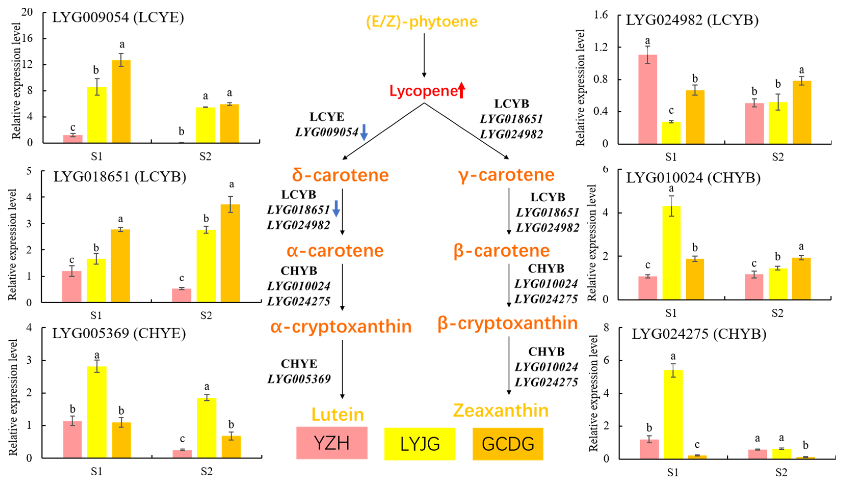 Horticulturae 10 00801 g009