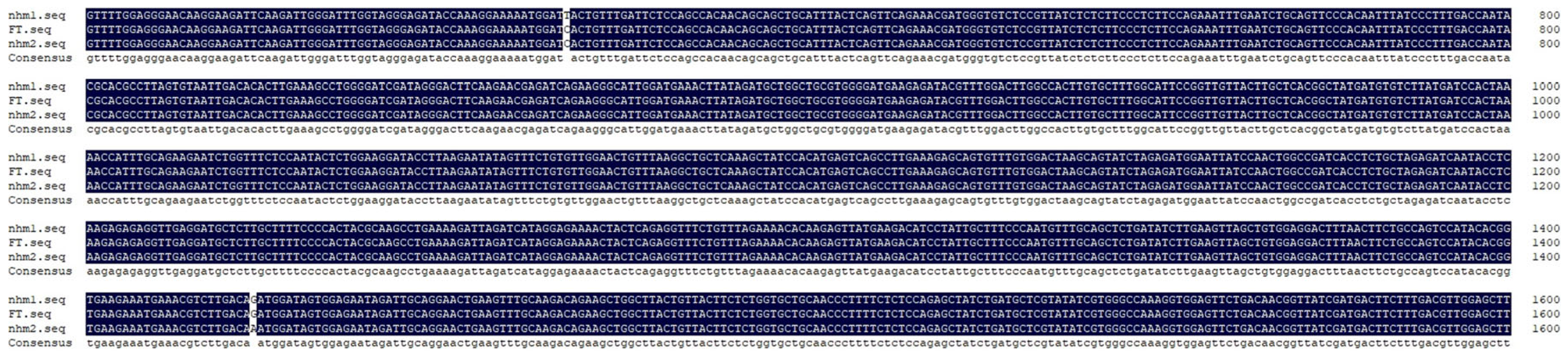 Horticulturae 10 00804 g003