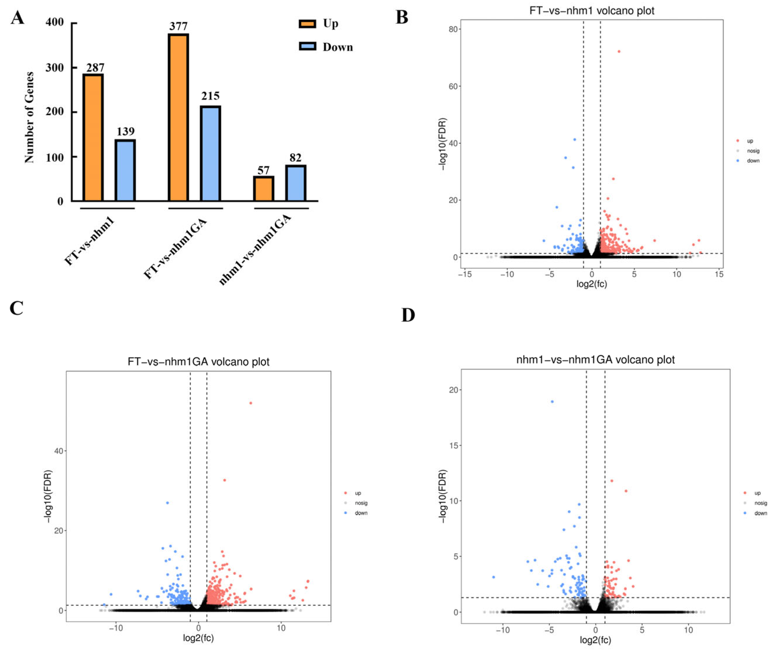 Horticulturae 10 00804 g006