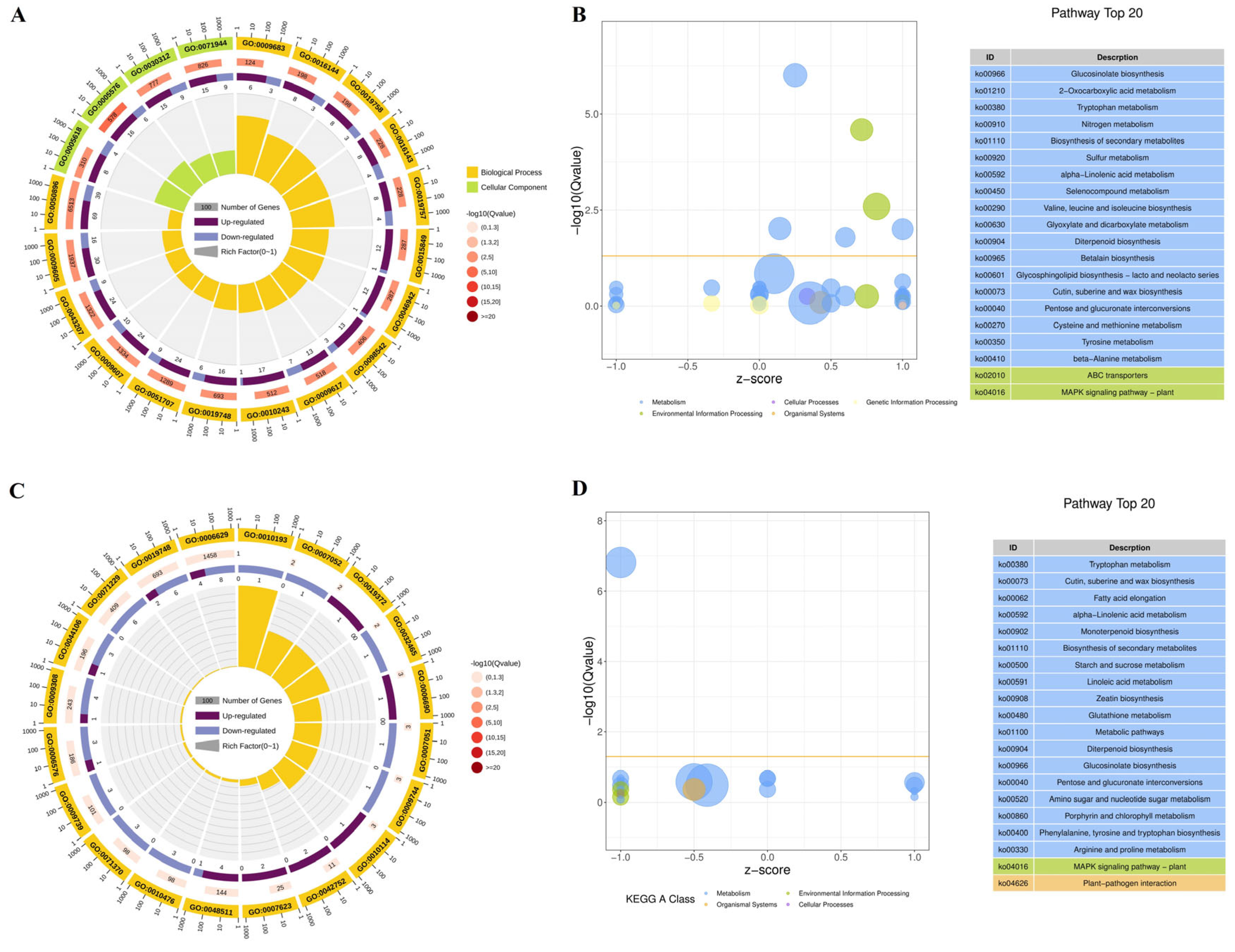 Horticulturae 10 00804 g007