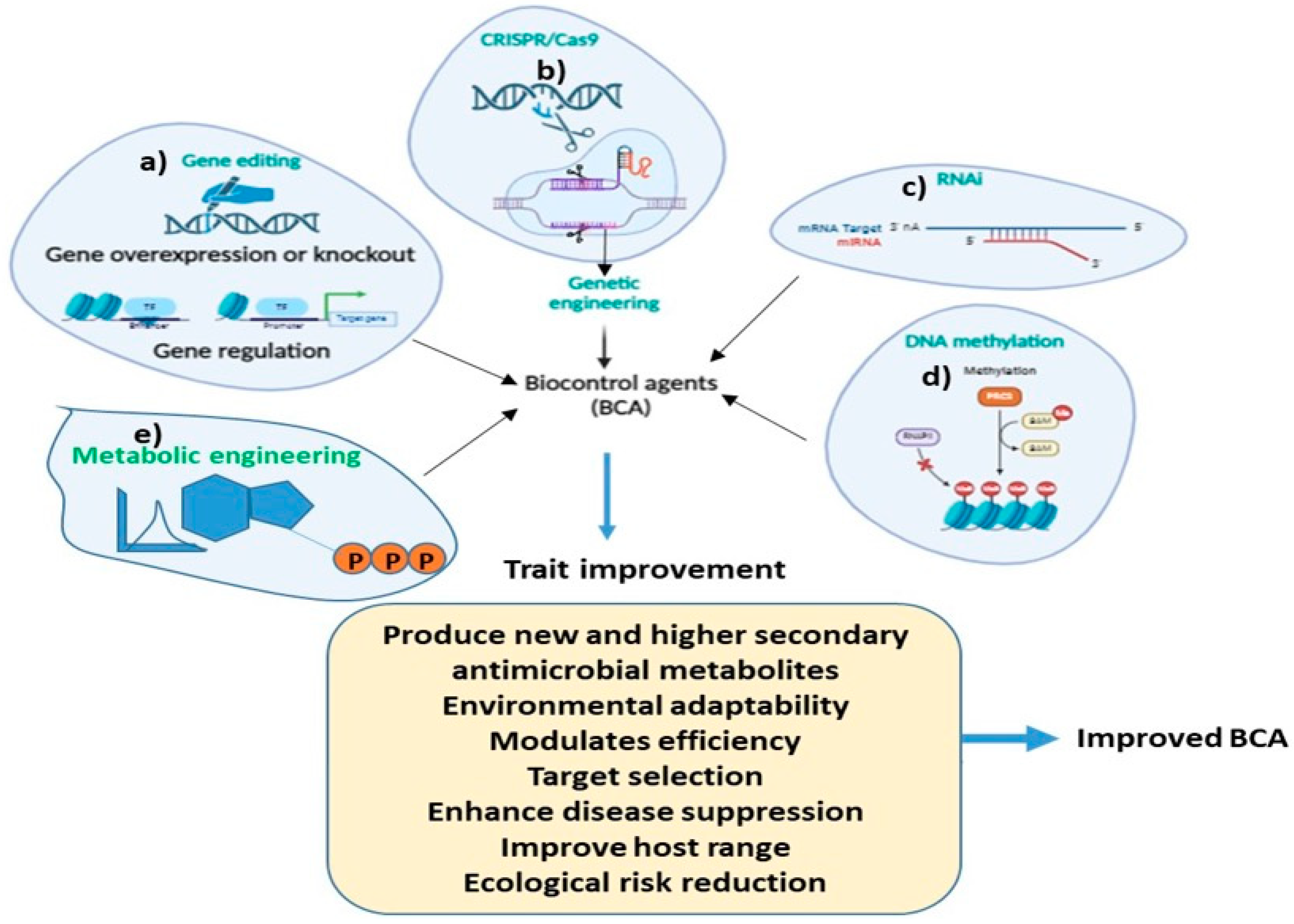 Horticulturae 10 00805 g004 Horticulturae 10 00805 g004