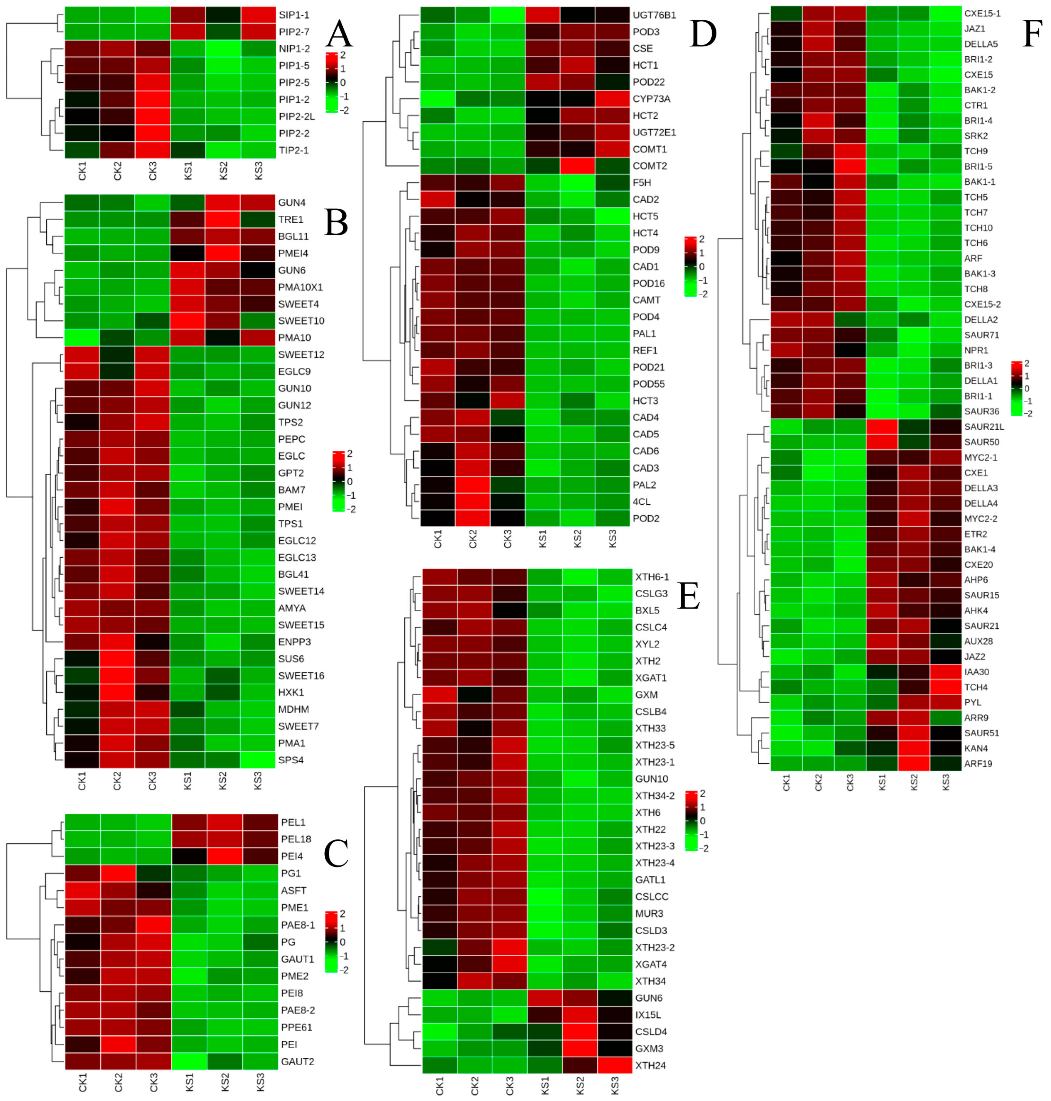 Horticulturae 10 00807 g006