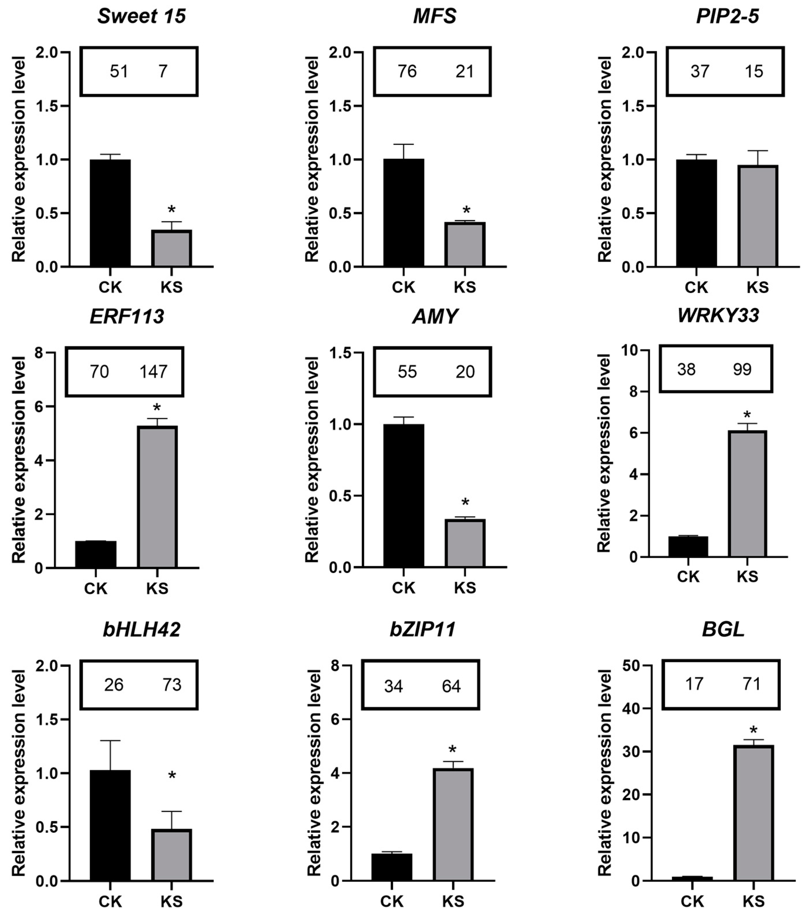 Horticulturae 10 00807 g007