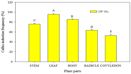 Horticulturae 10 00809 g003