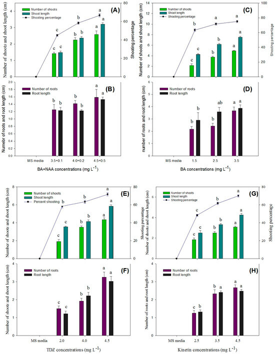 Horticulturae 10 00809 g007a