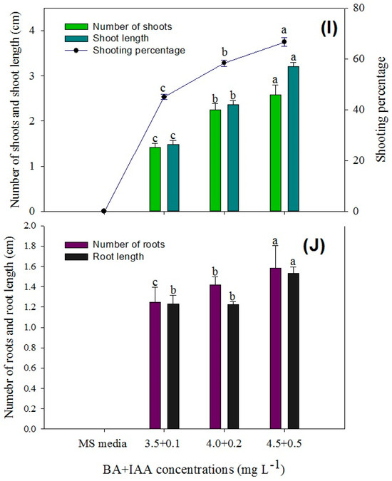 Horticulturae 10 00809 g007b