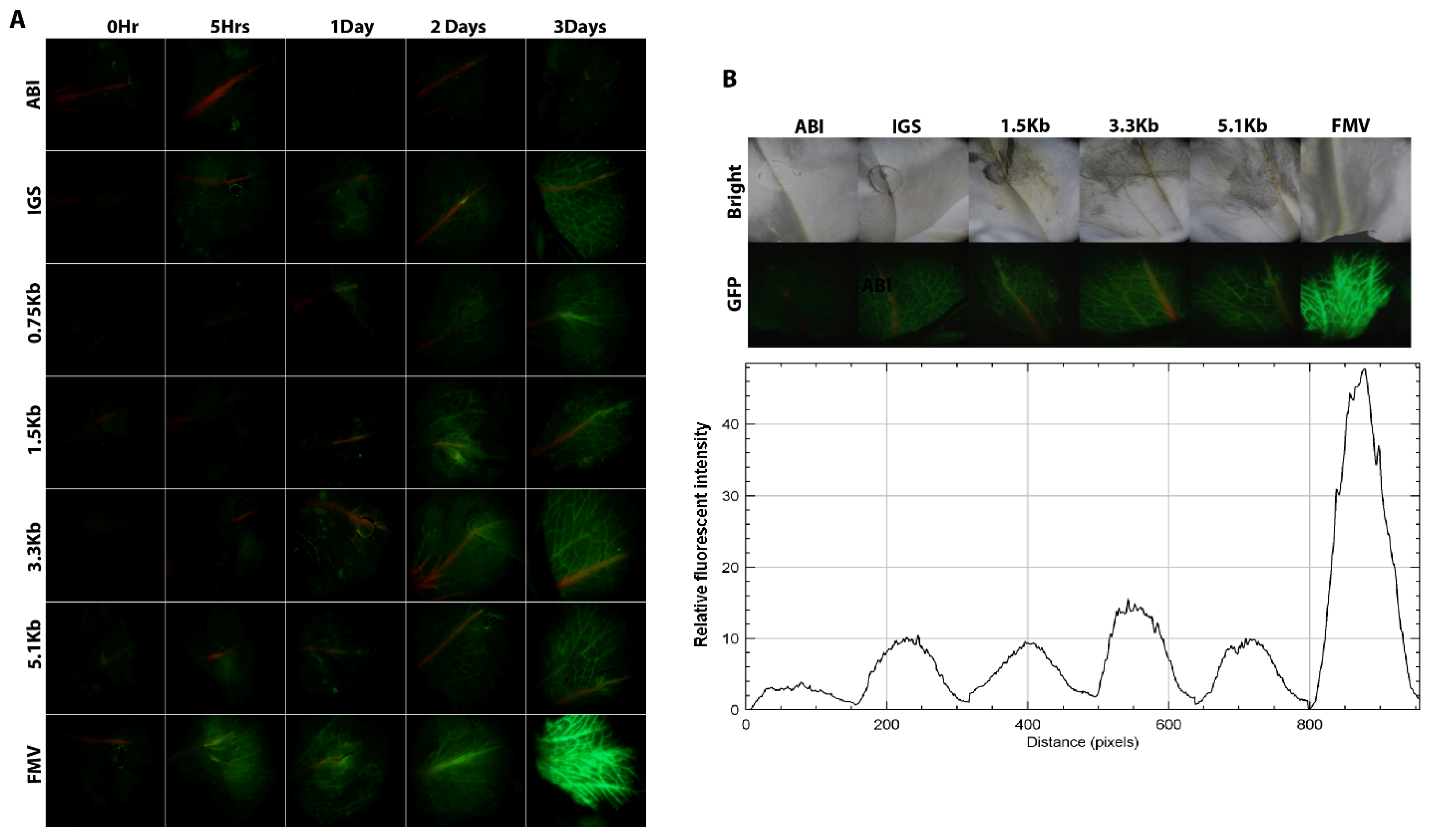 Horticulturae 10 00810 g007