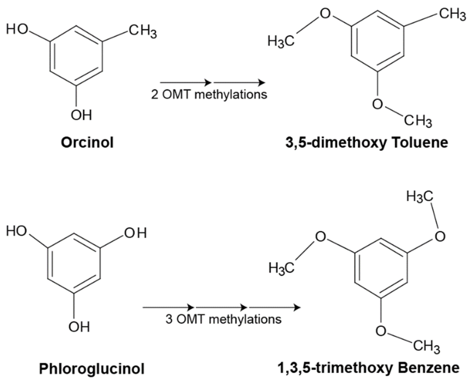 Horticulturae 10 00810 g011
