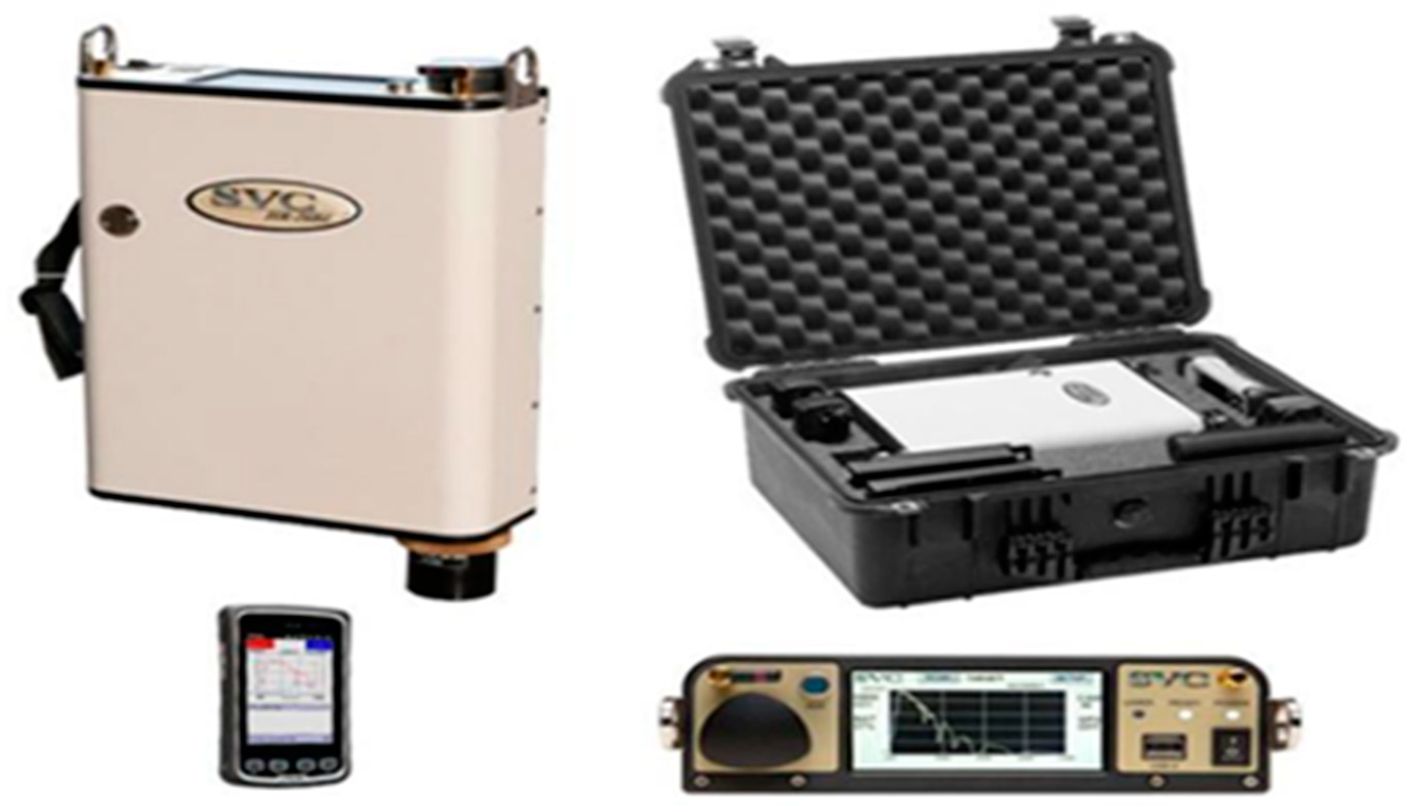 Horticulturae 10 00811 g001