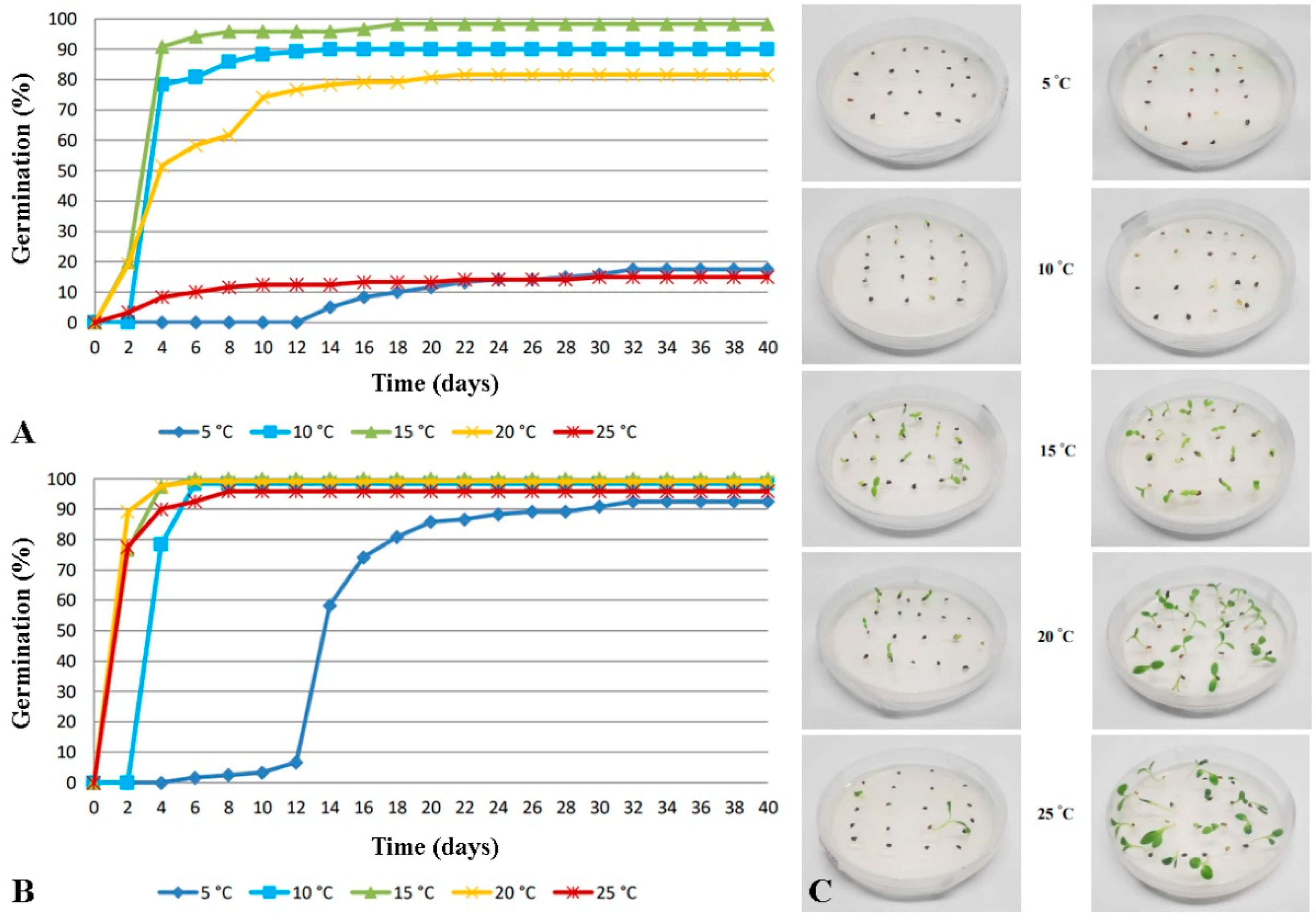 Horticulturae 10 00813 g002 Horticulturae 10 00813 g002