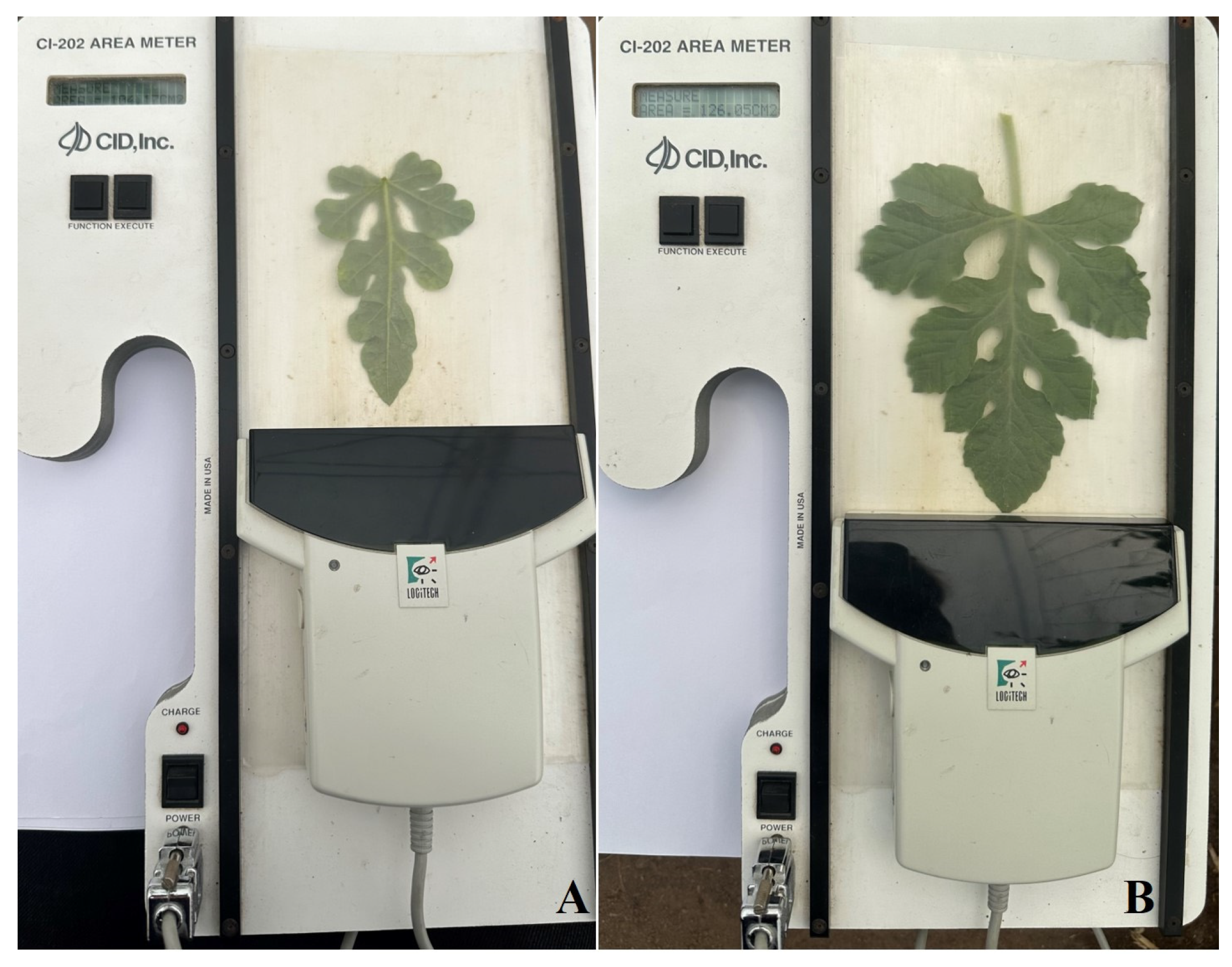 Horticulturae 10 00818 g004 Horticulturae 10 00818 g004