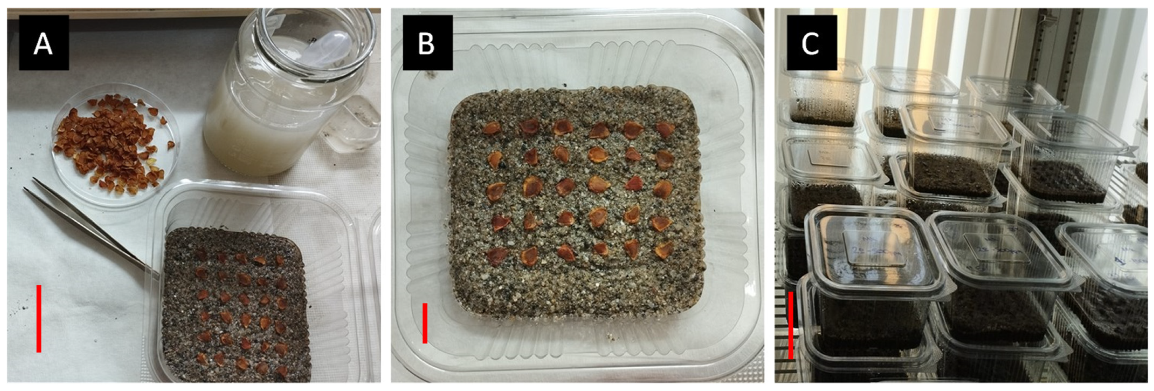 Horticulturae 10 00820 g002