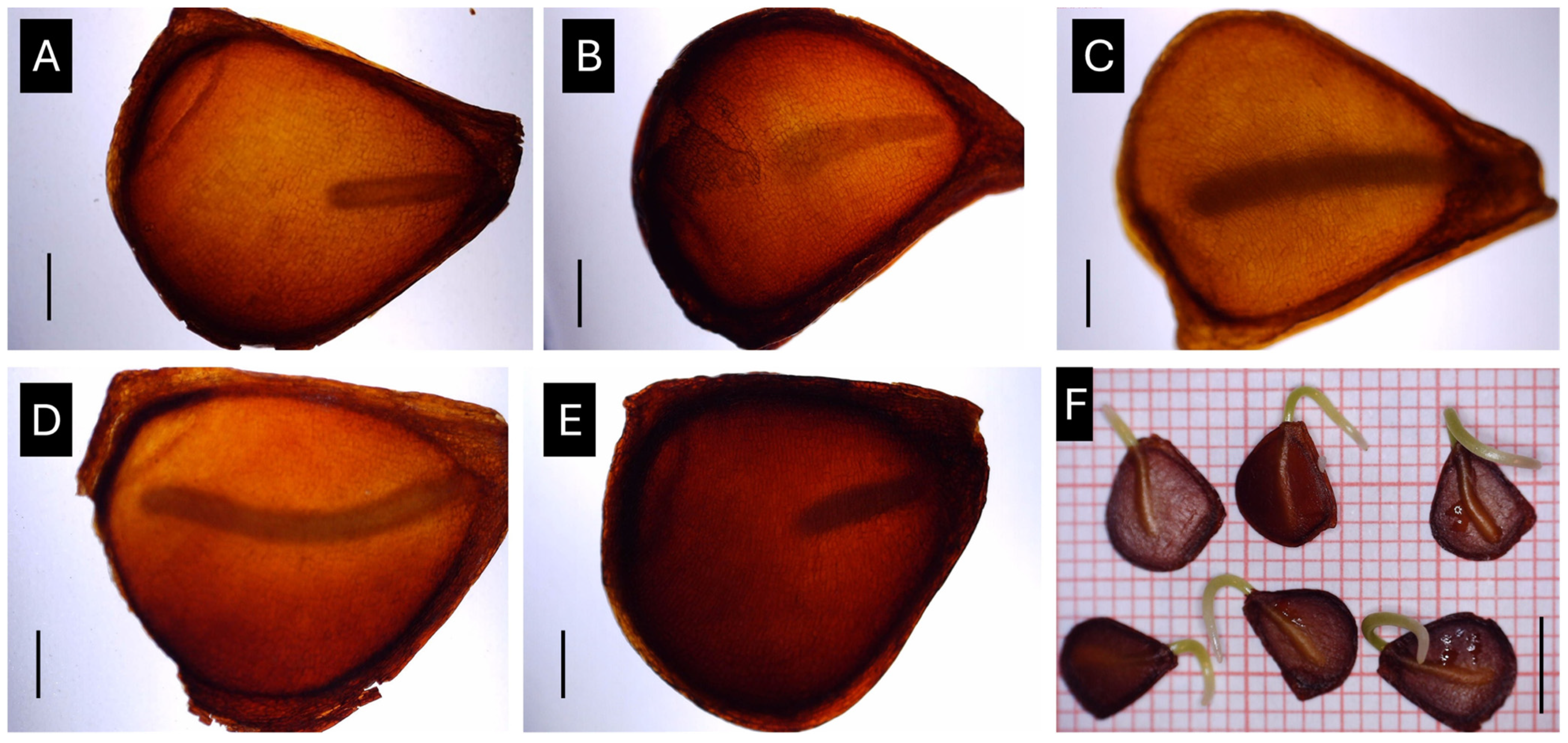 Horticulturae 10 00820 g009