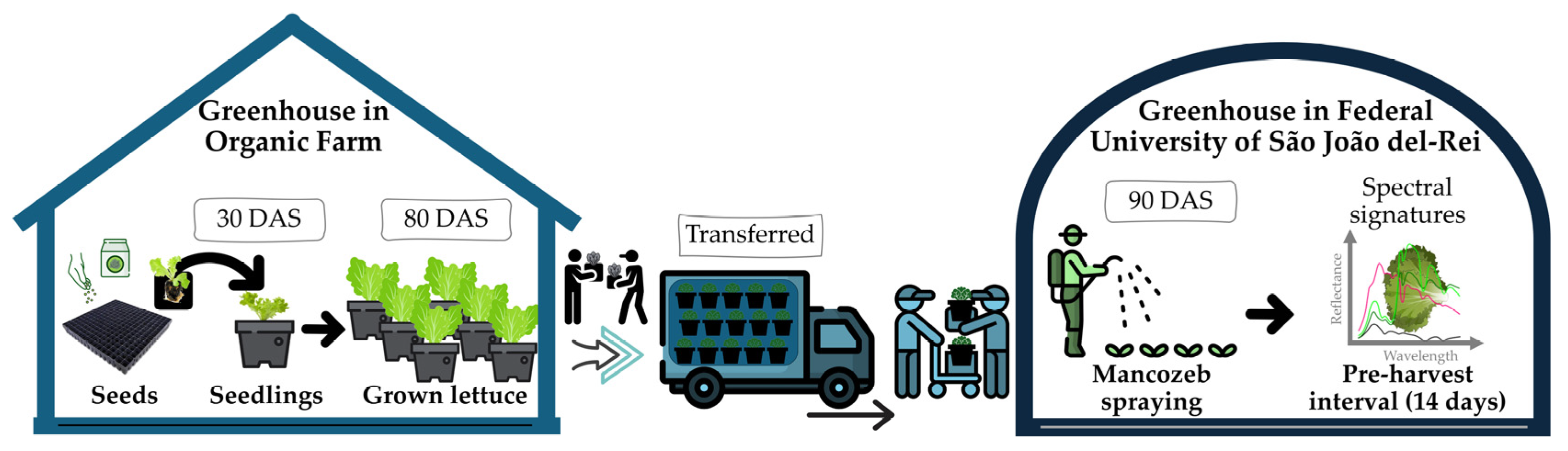Horticulturae 10 00828 g002