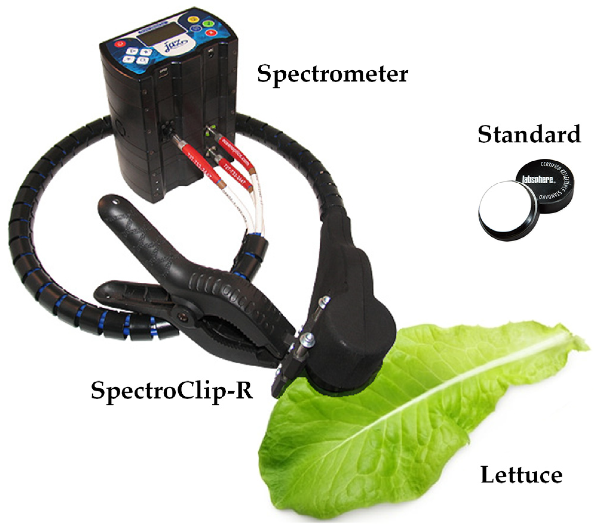 Horticulturae 10 00828 g003