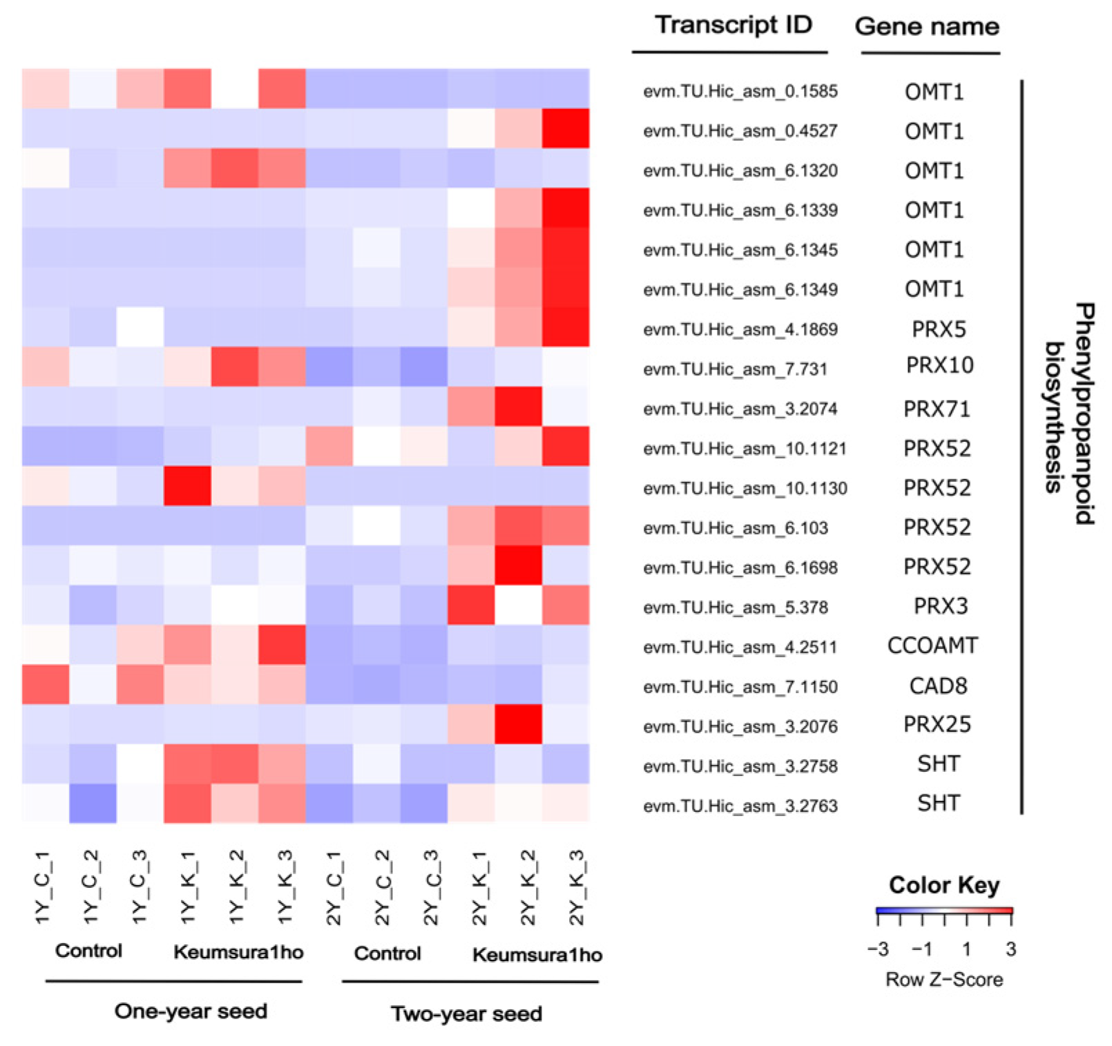 Horticulturae 10 00829 g004 Horticulturae 10 00829 g004