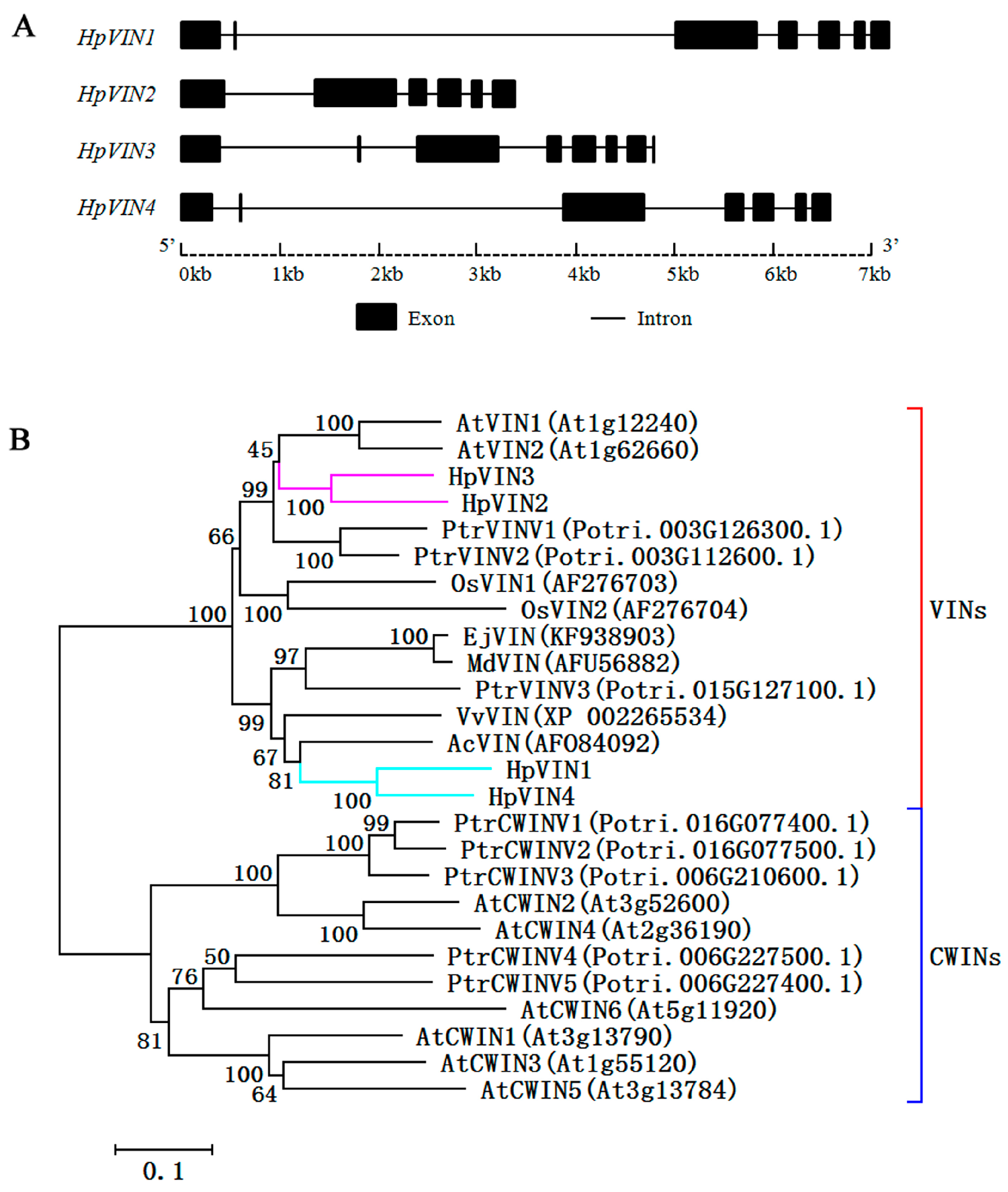 Horticulturae 10 00833 g002