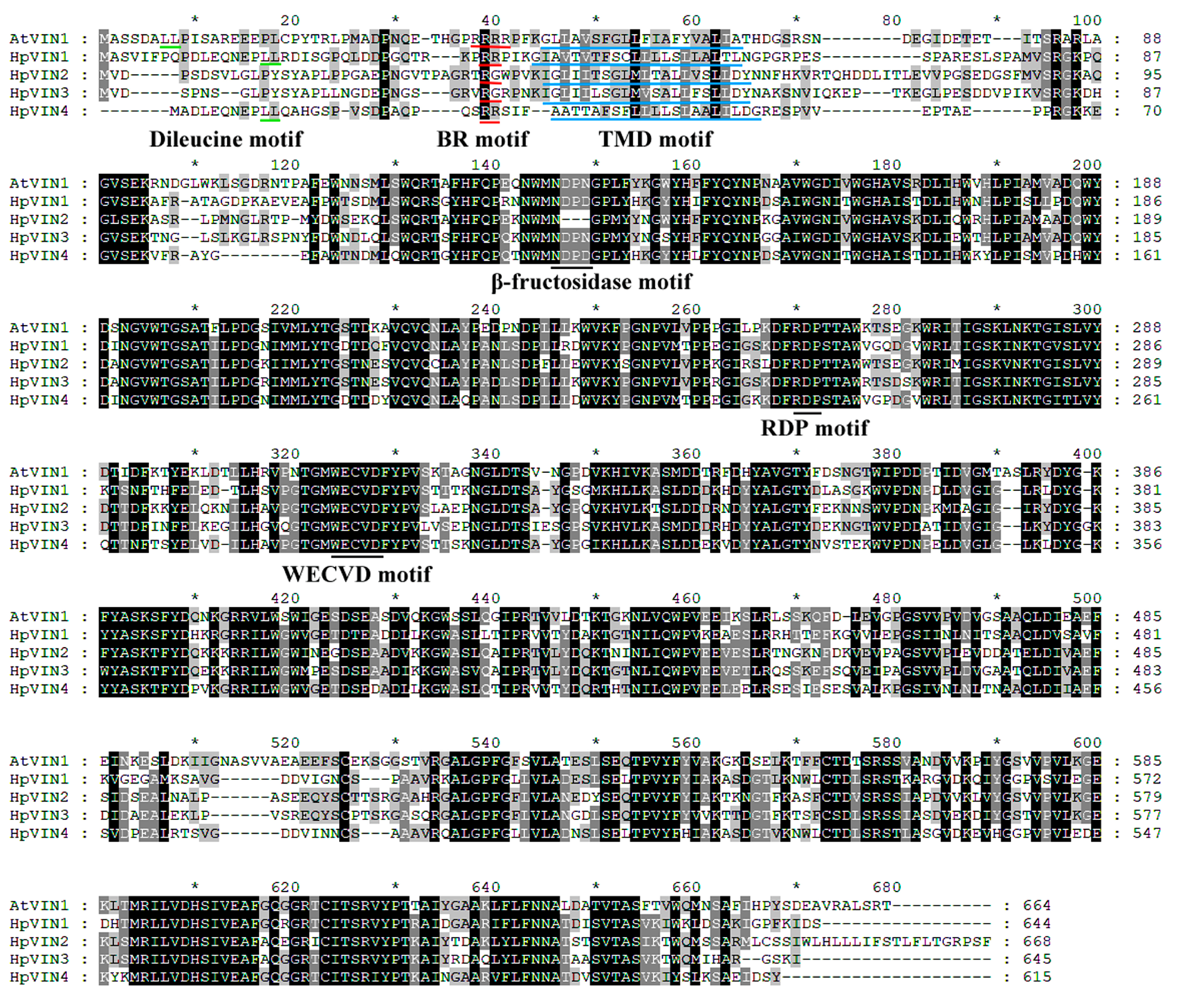 Horticulturae 10 00833 g003