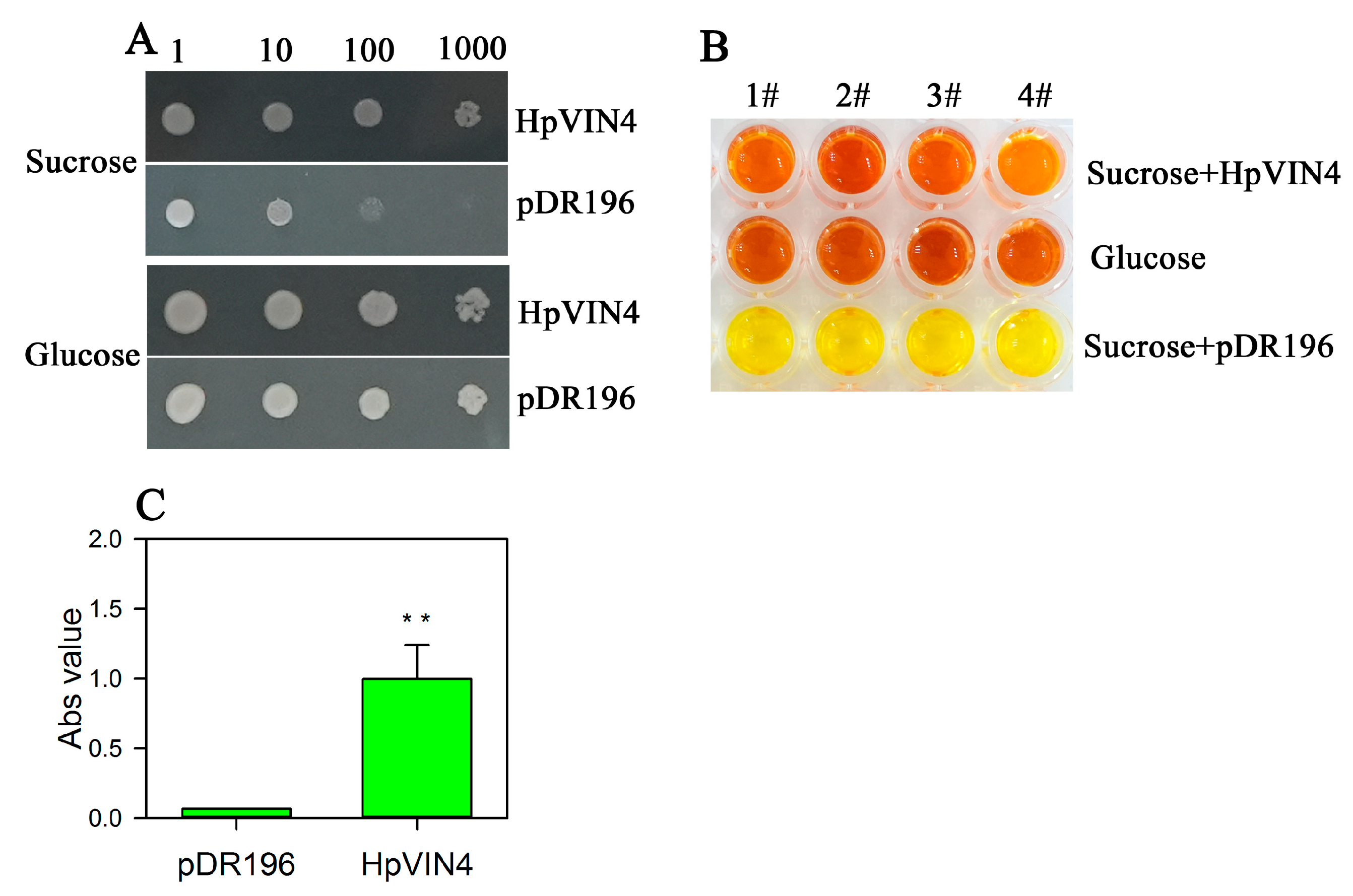 Horticulturae 10 00833 g006