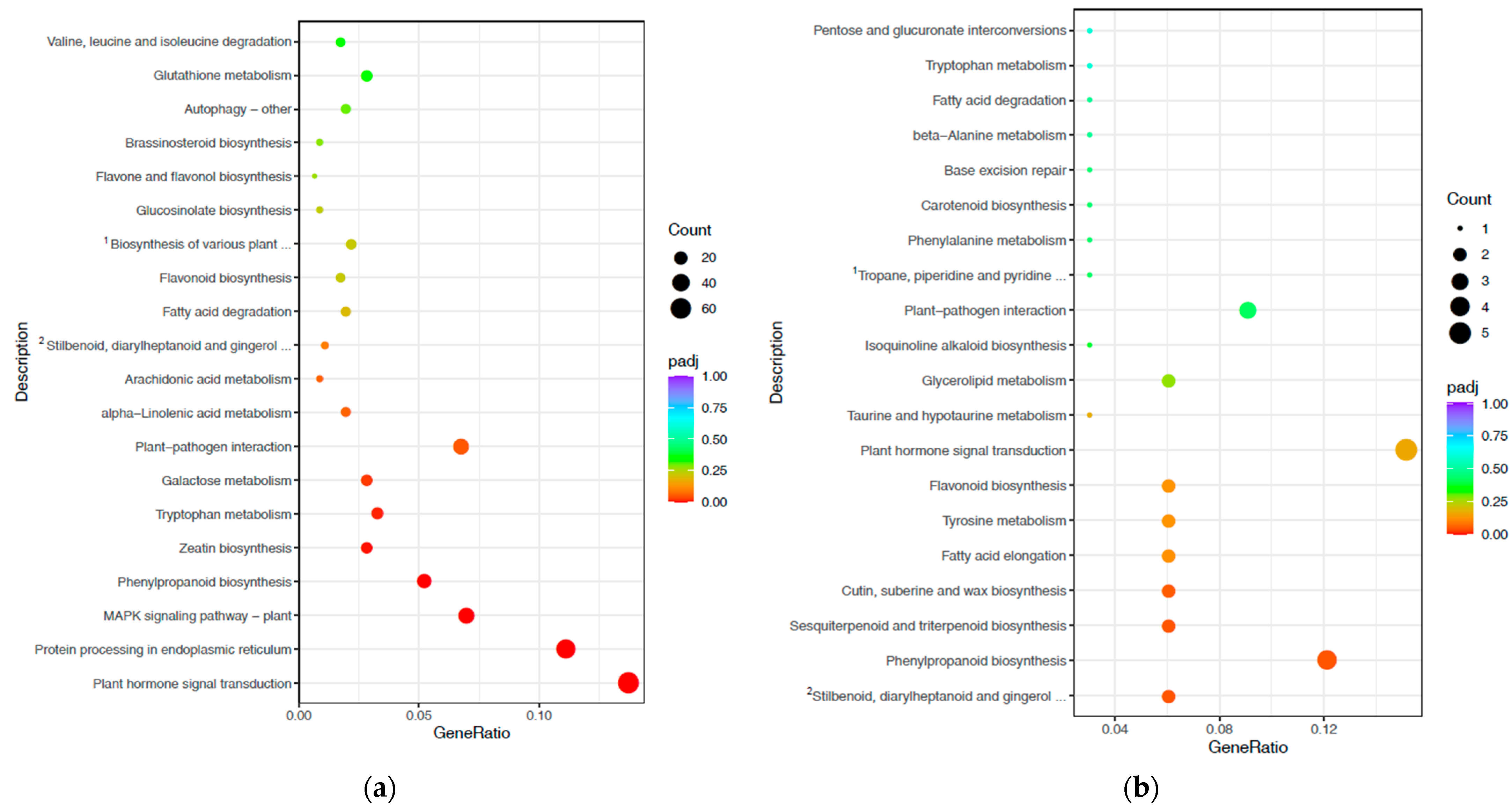Horticulturae 10 00834 g004