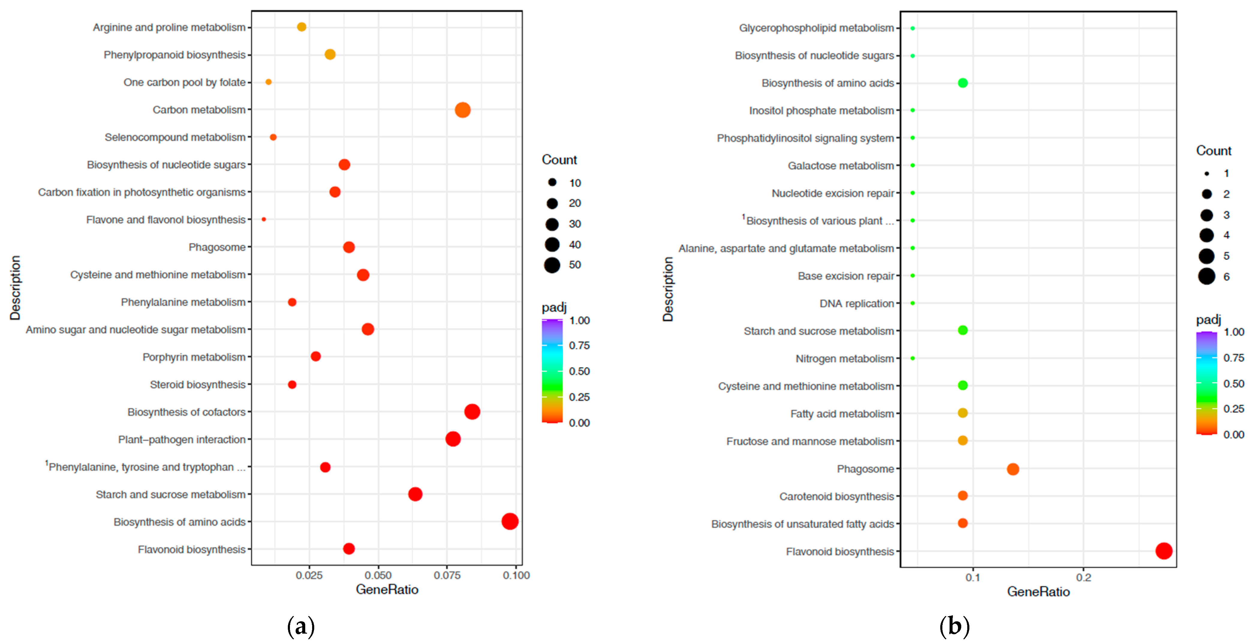 Horticulturae 10 00834 g005