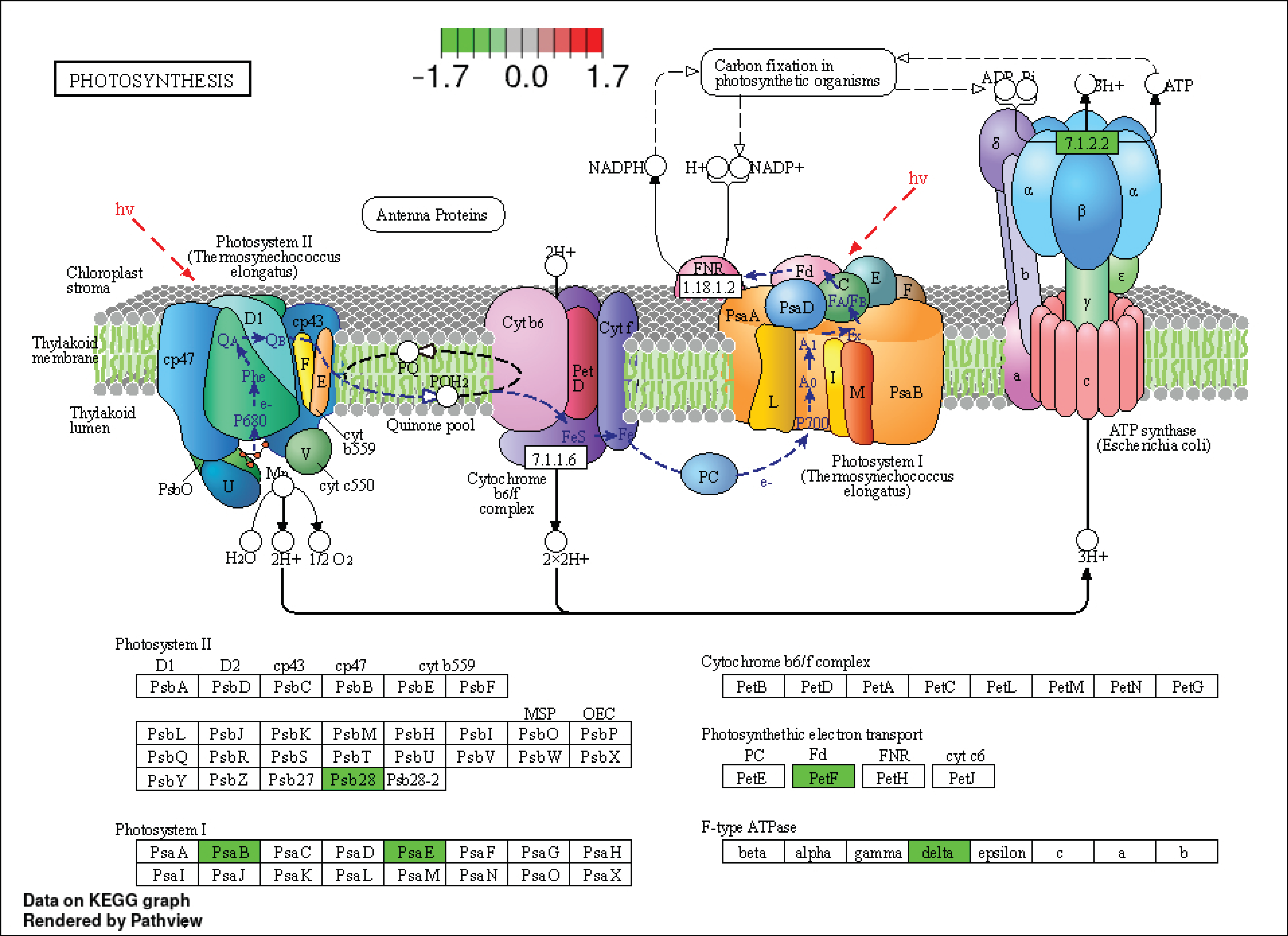 Horticulturae 10 00834 g009