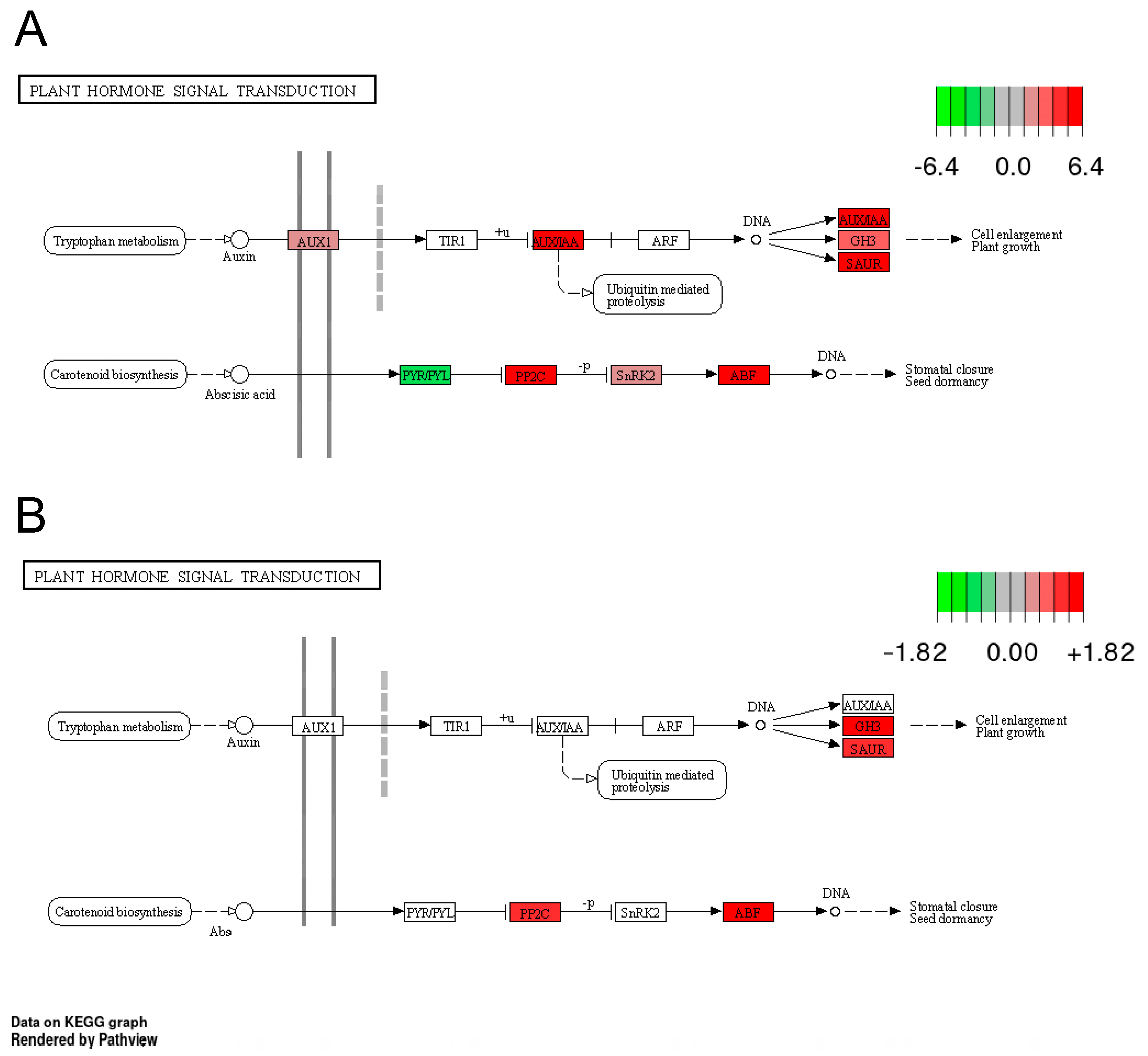 Horticulturae 10 00834 g010