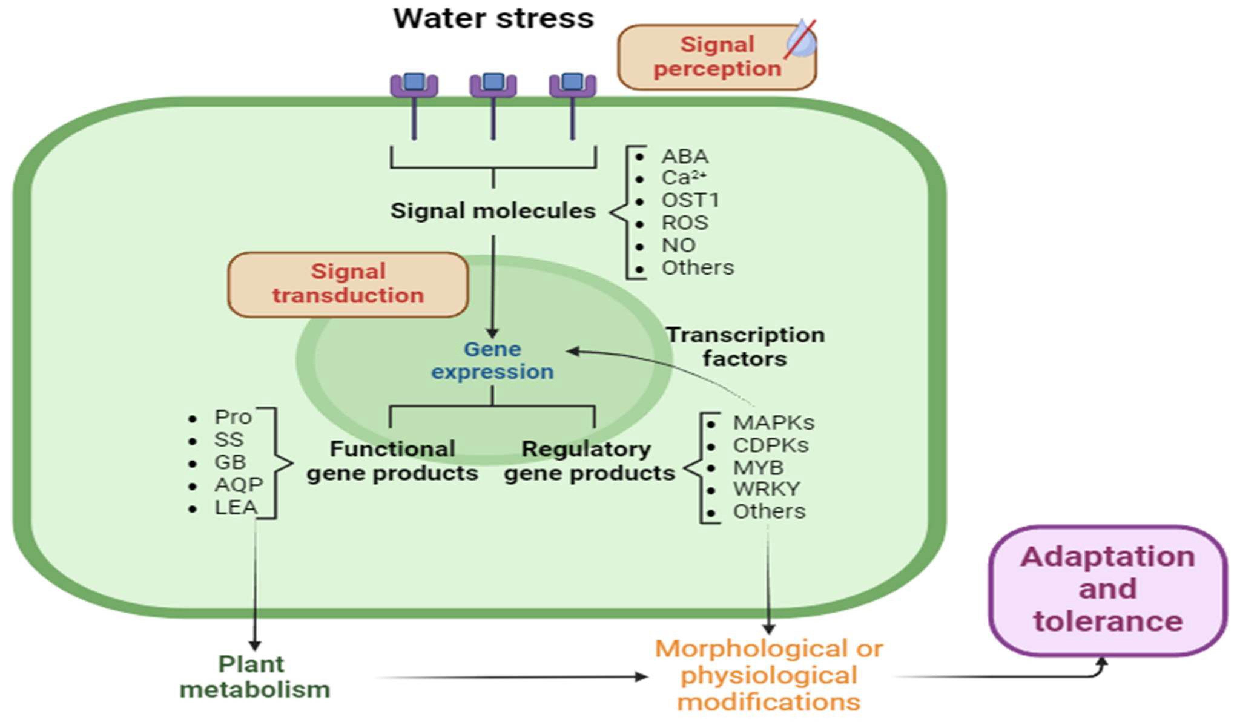 Horticulturae 10 00837 g002