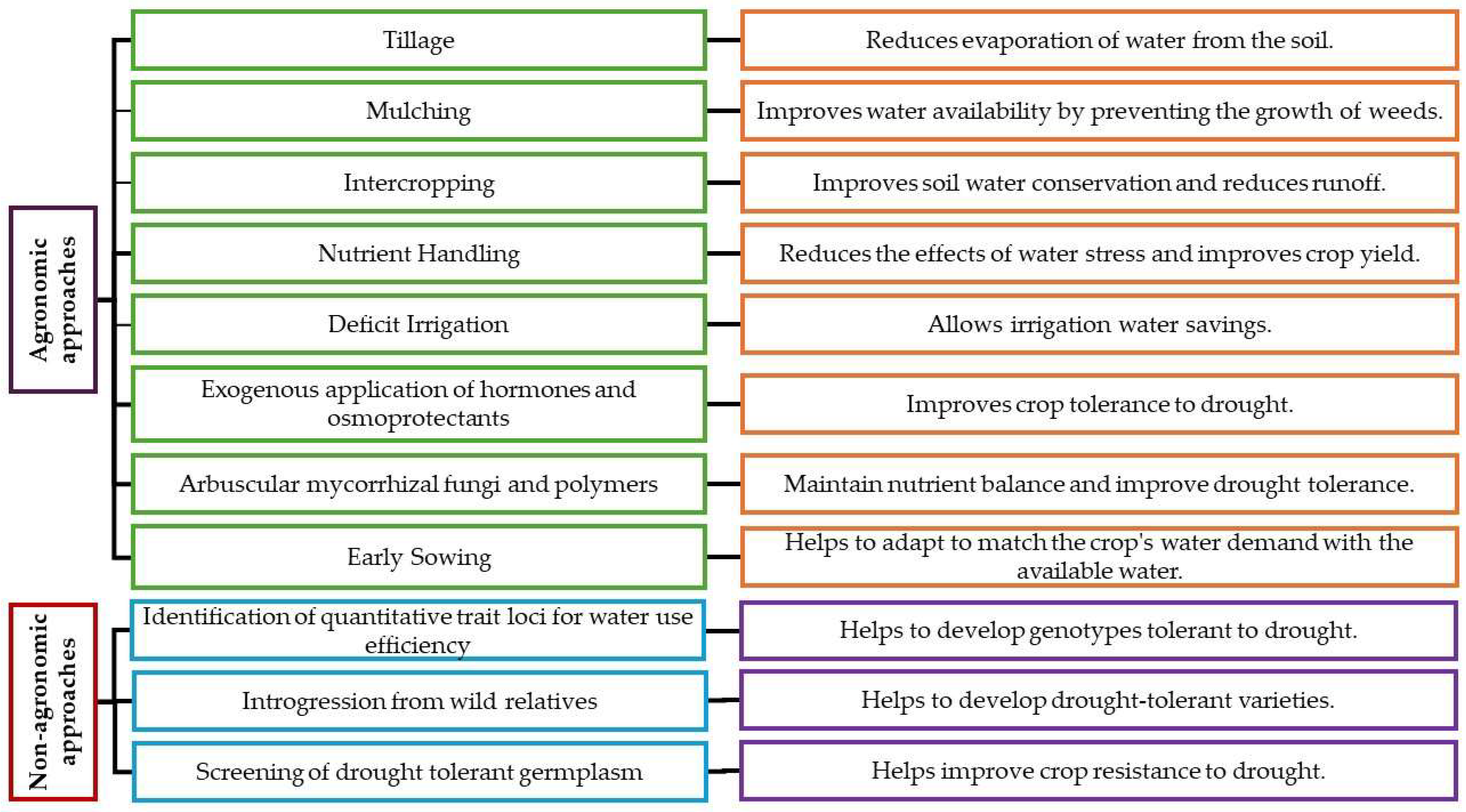 Horticulturae 10 00837 g003