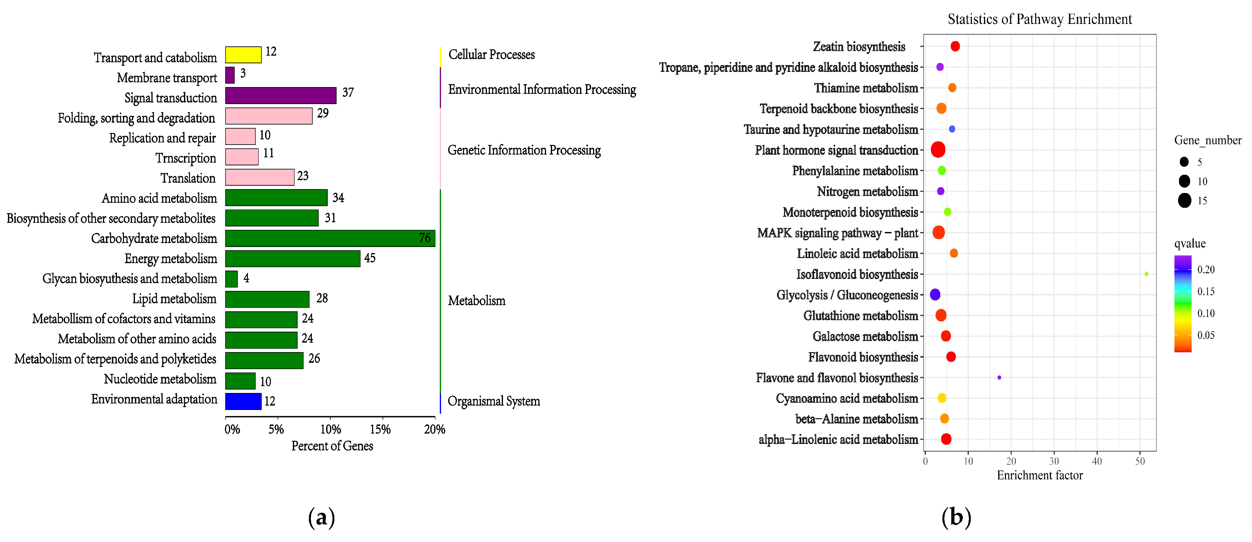 Horticulturae 10 00838 g006