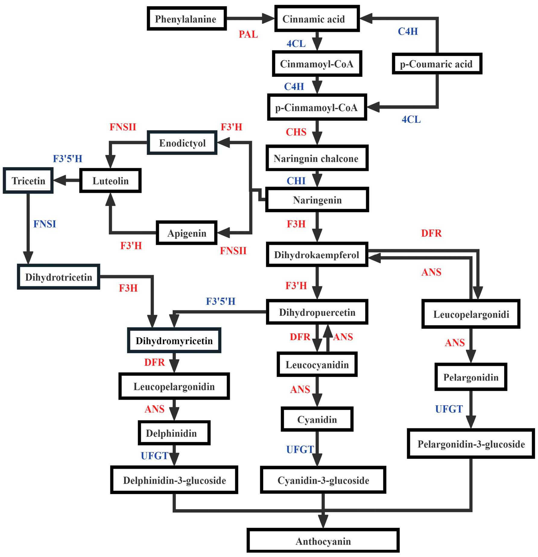 Horticulturae 10 00838 g007