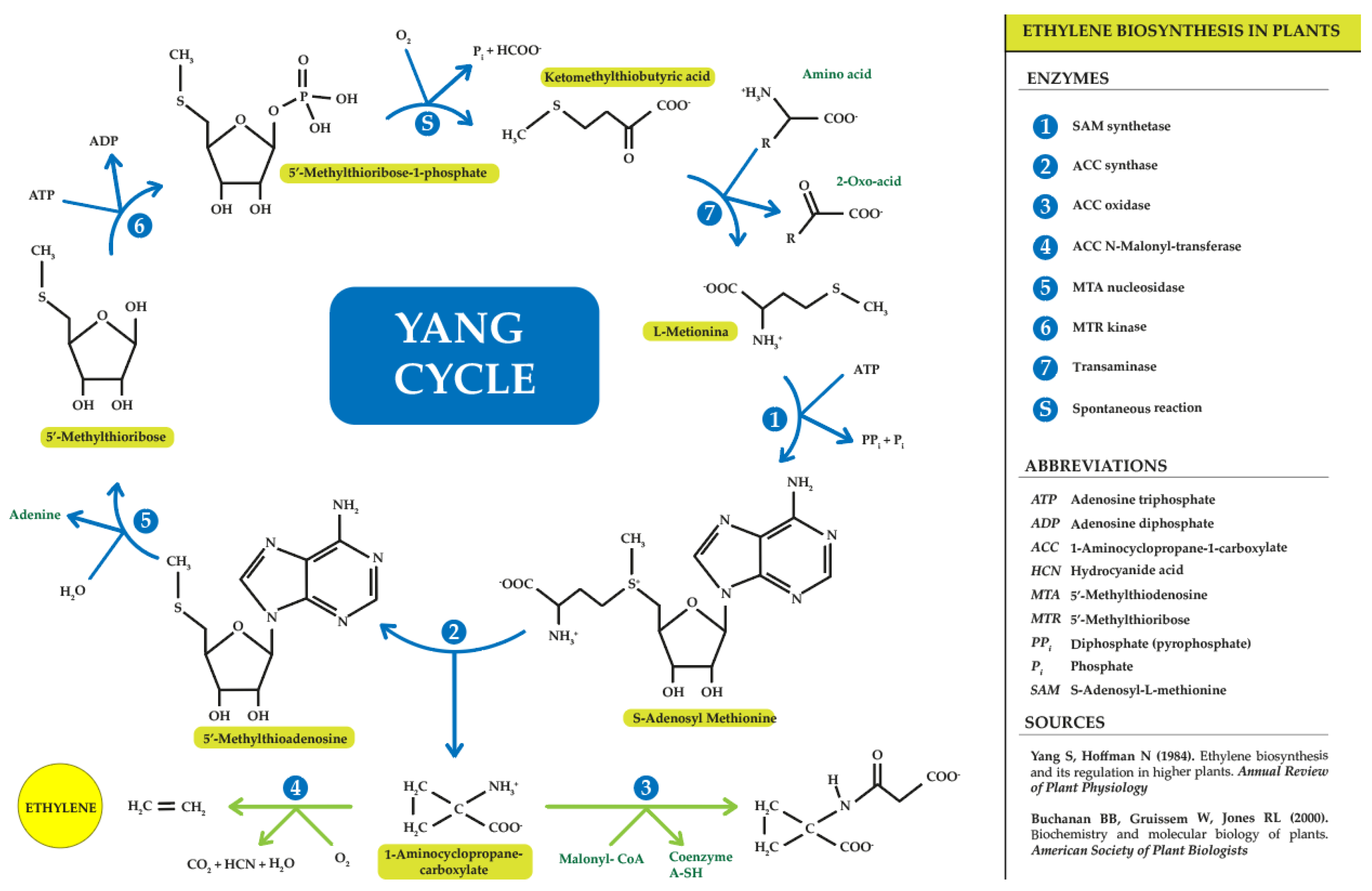 Horticulturae 10 00840 g002 Horticulturae 10 00840 g002