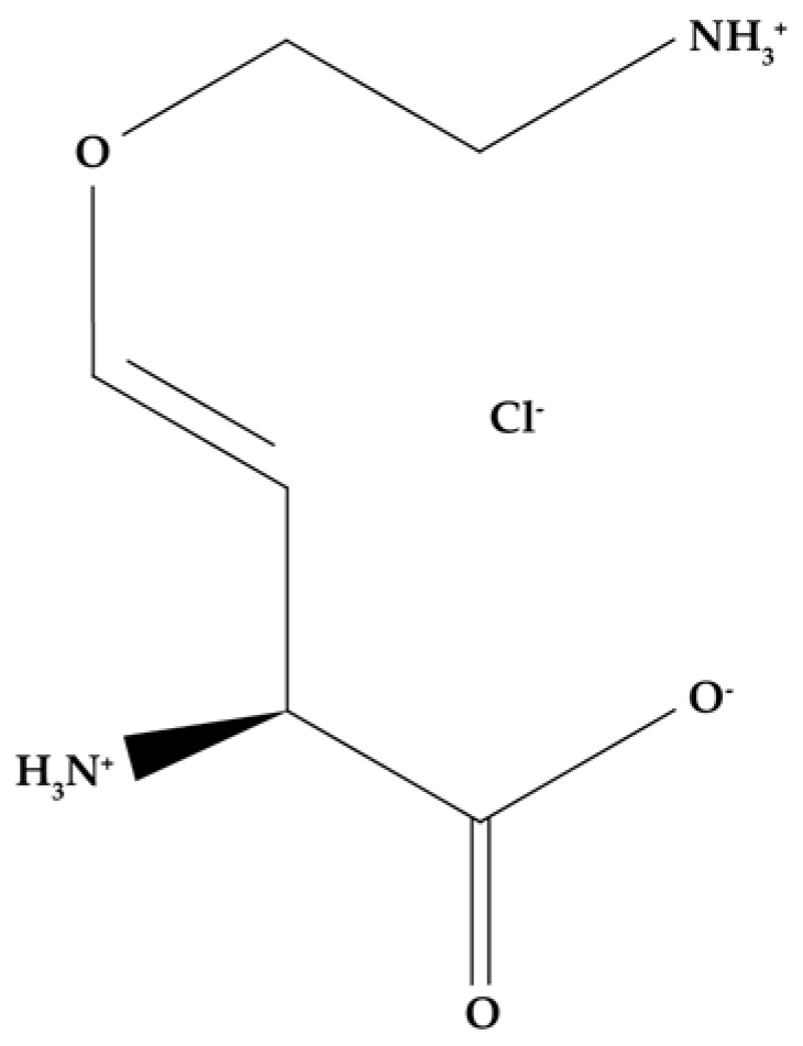 Horticulturae 10 00840 g008 Horticulturae 10 00840 g008