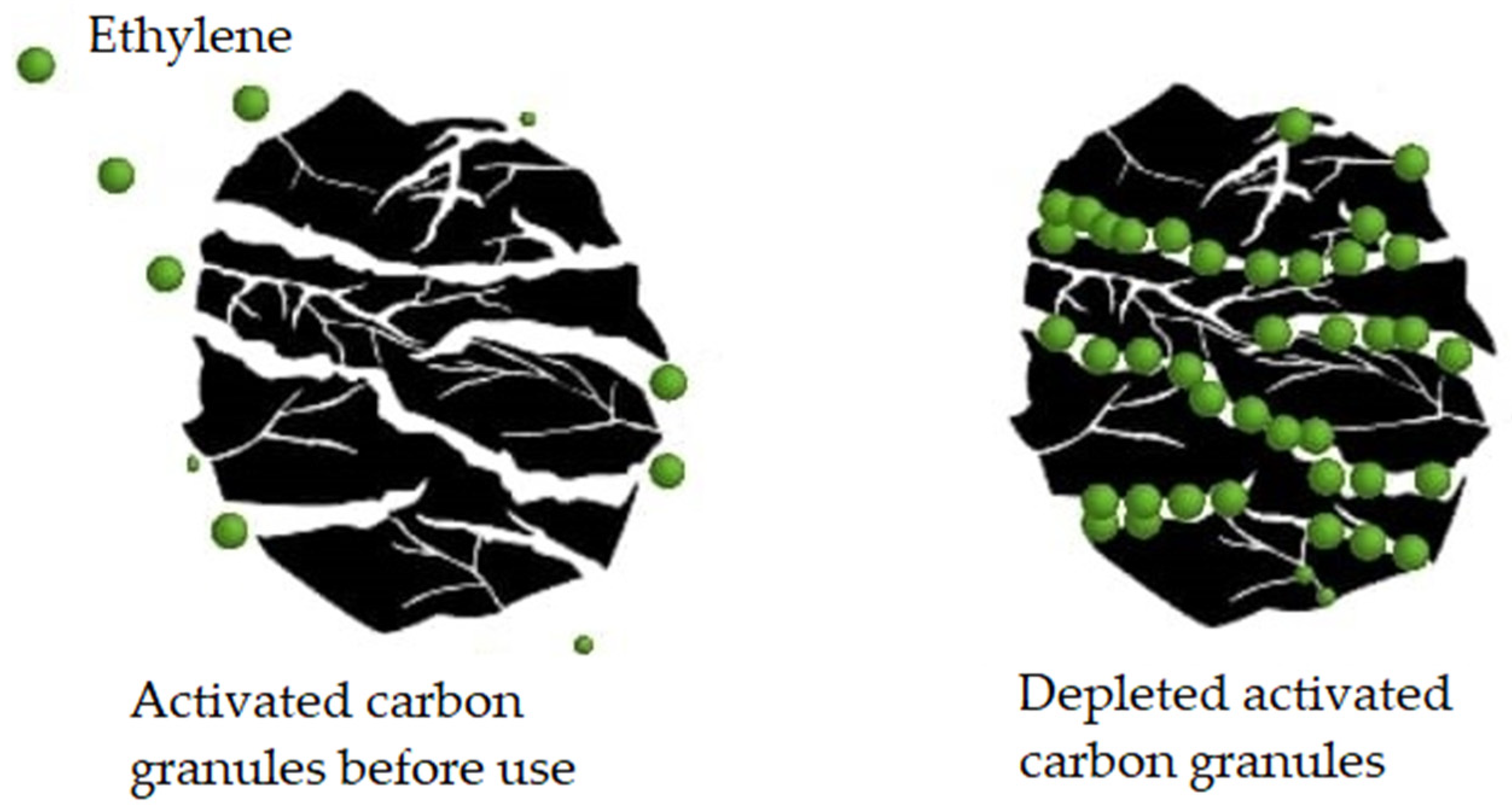 Horticulturae 10 00840 g010 Horticulturae 10 00840 g010