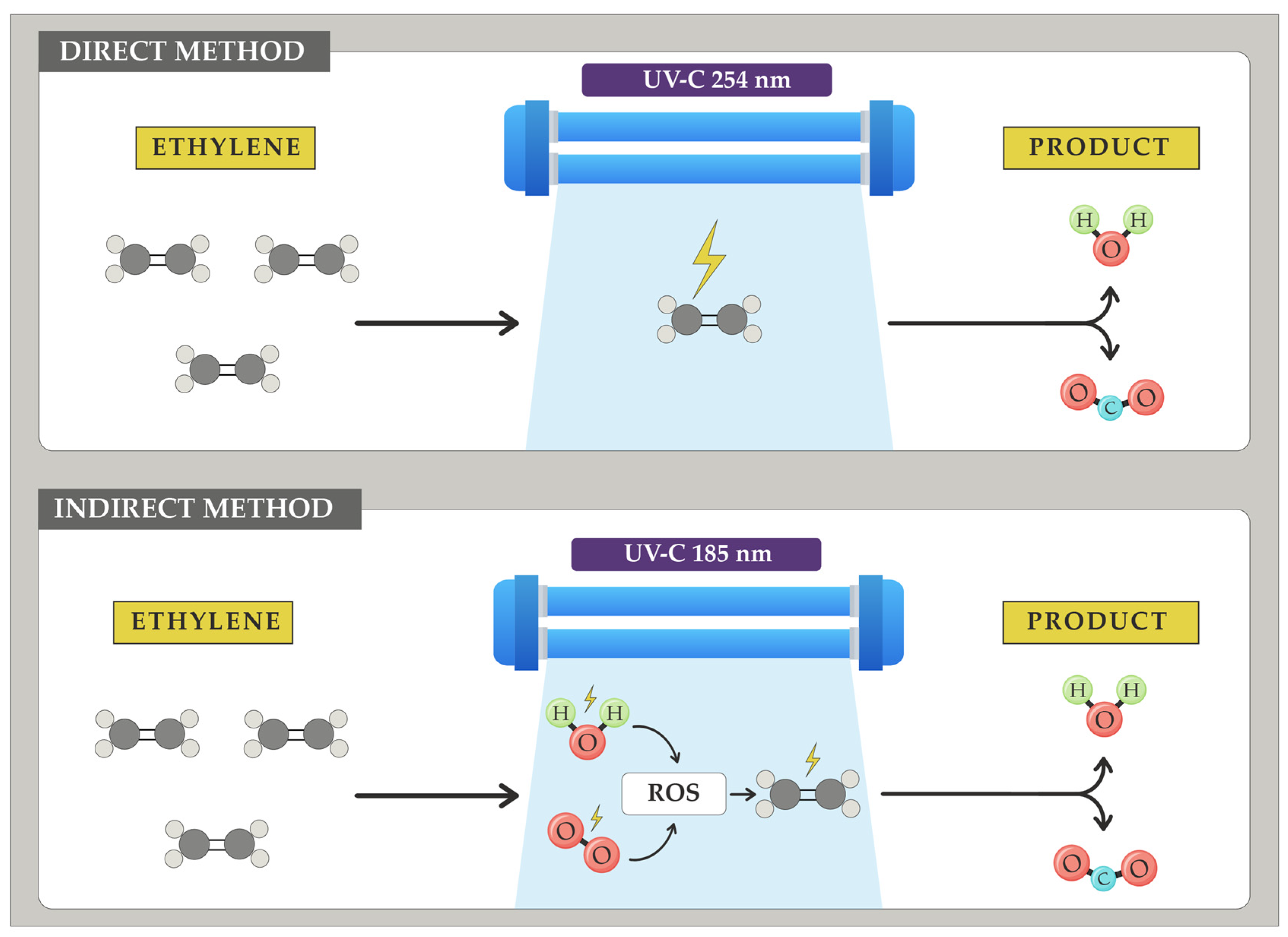 Horticulturae 10 00840 g011 Horticulturae 10 00840 g011