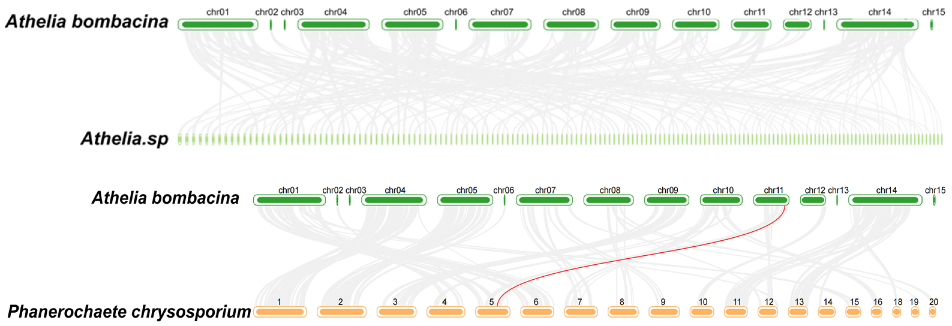 Horticulturae 10 00842 g002