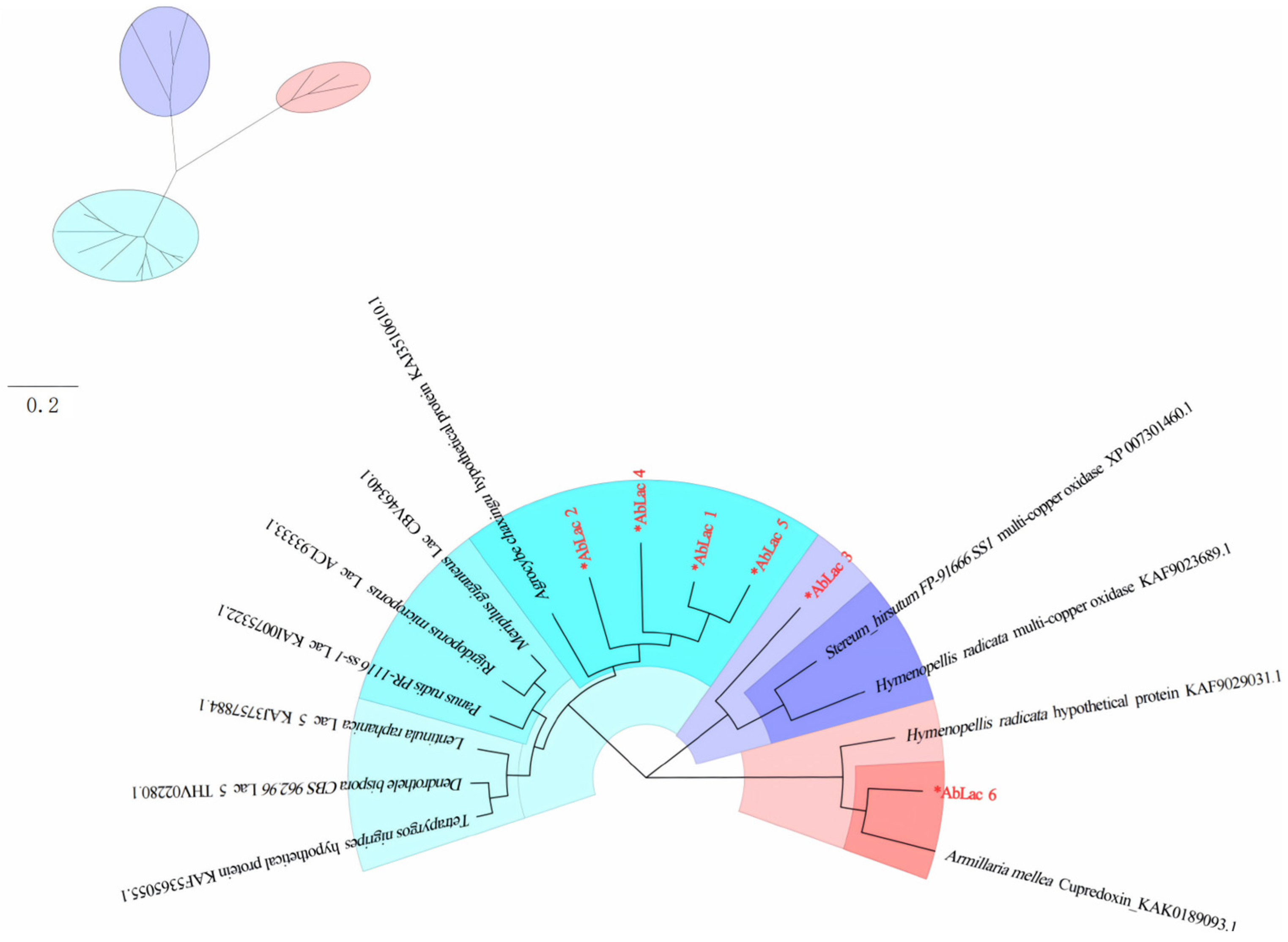 Horticulturae 10 00842 g003