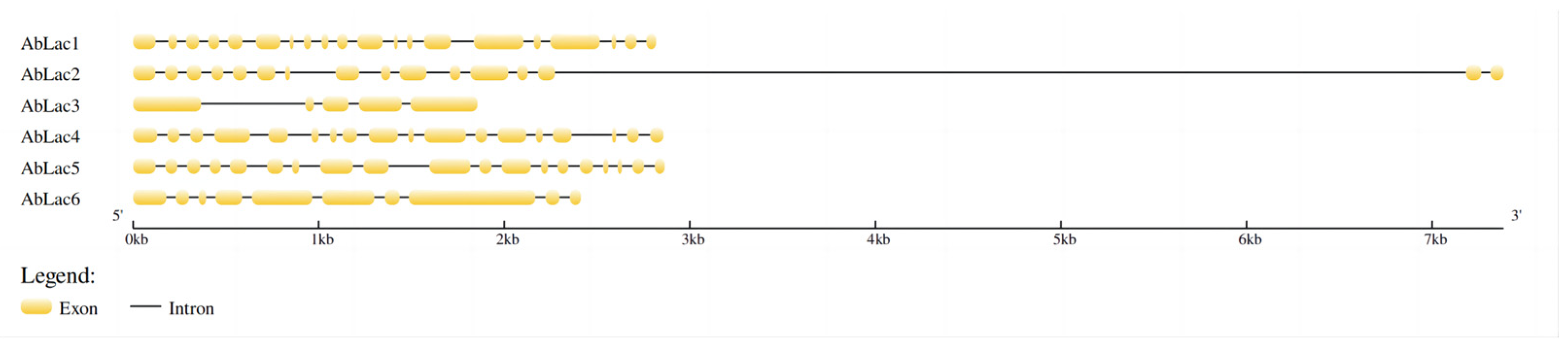Horticulturae 10 00842 g005
