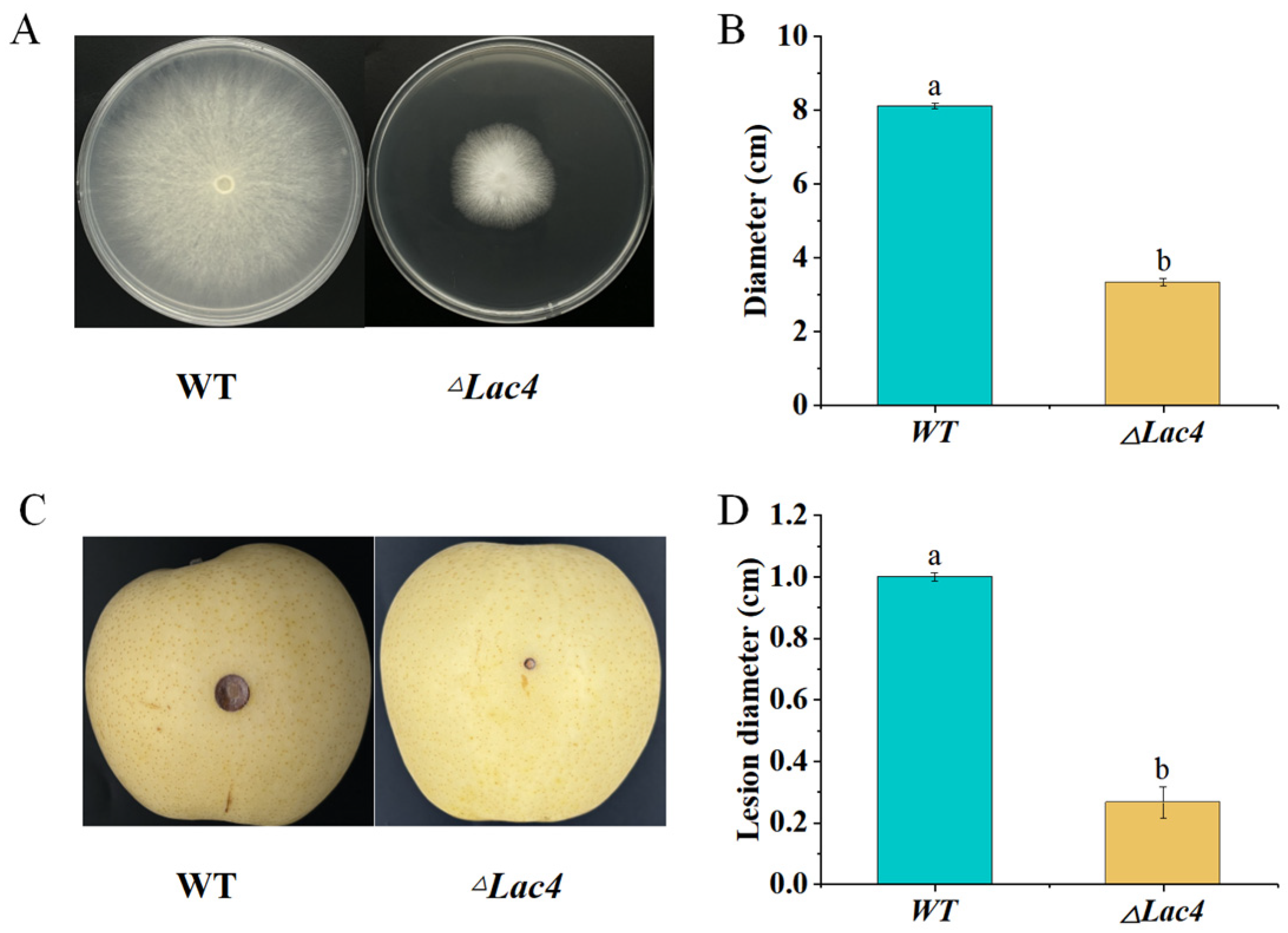 Horticulturae 10 00842 g013