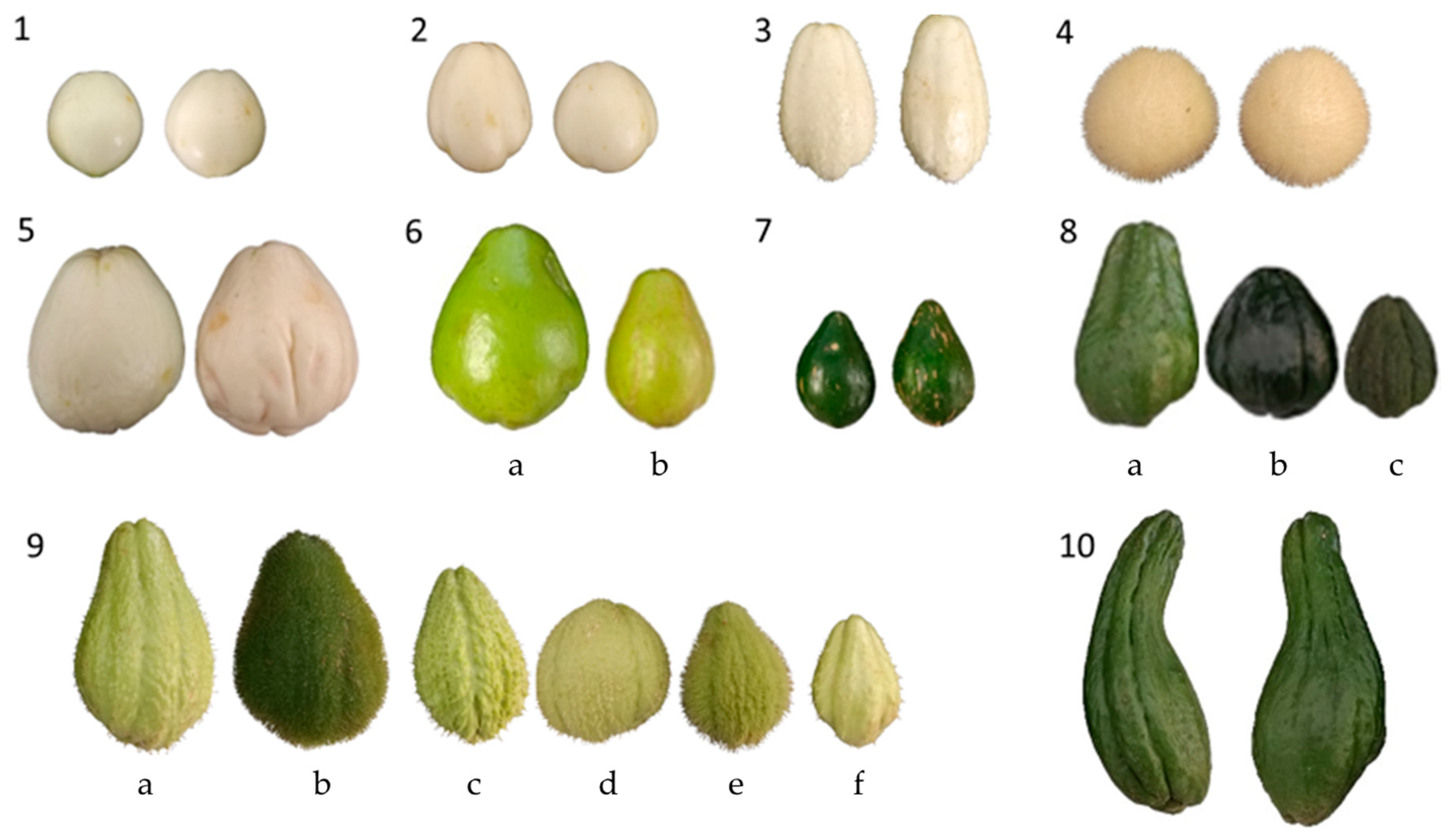 Horticulturae 10 00844 g001
