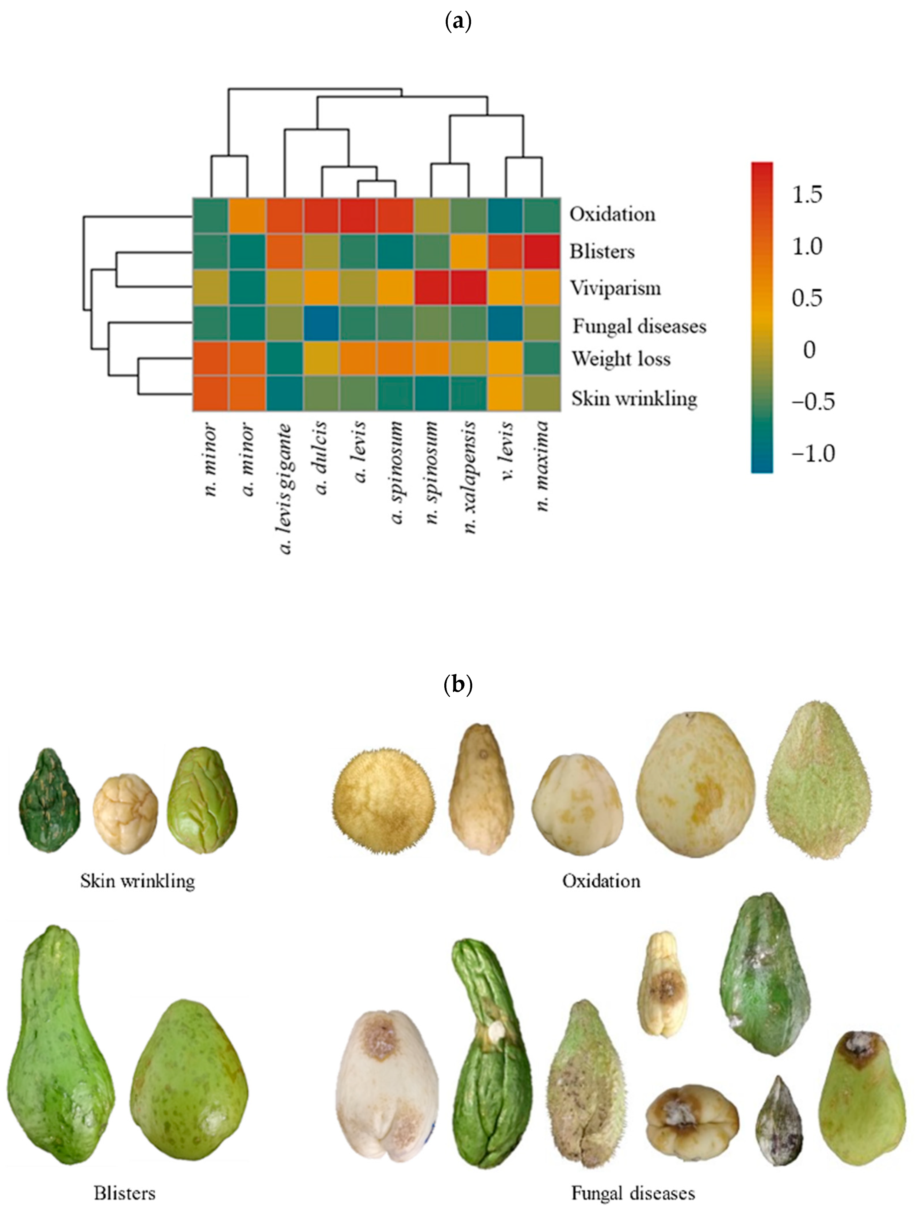 Horticulturae 10 00844 g003