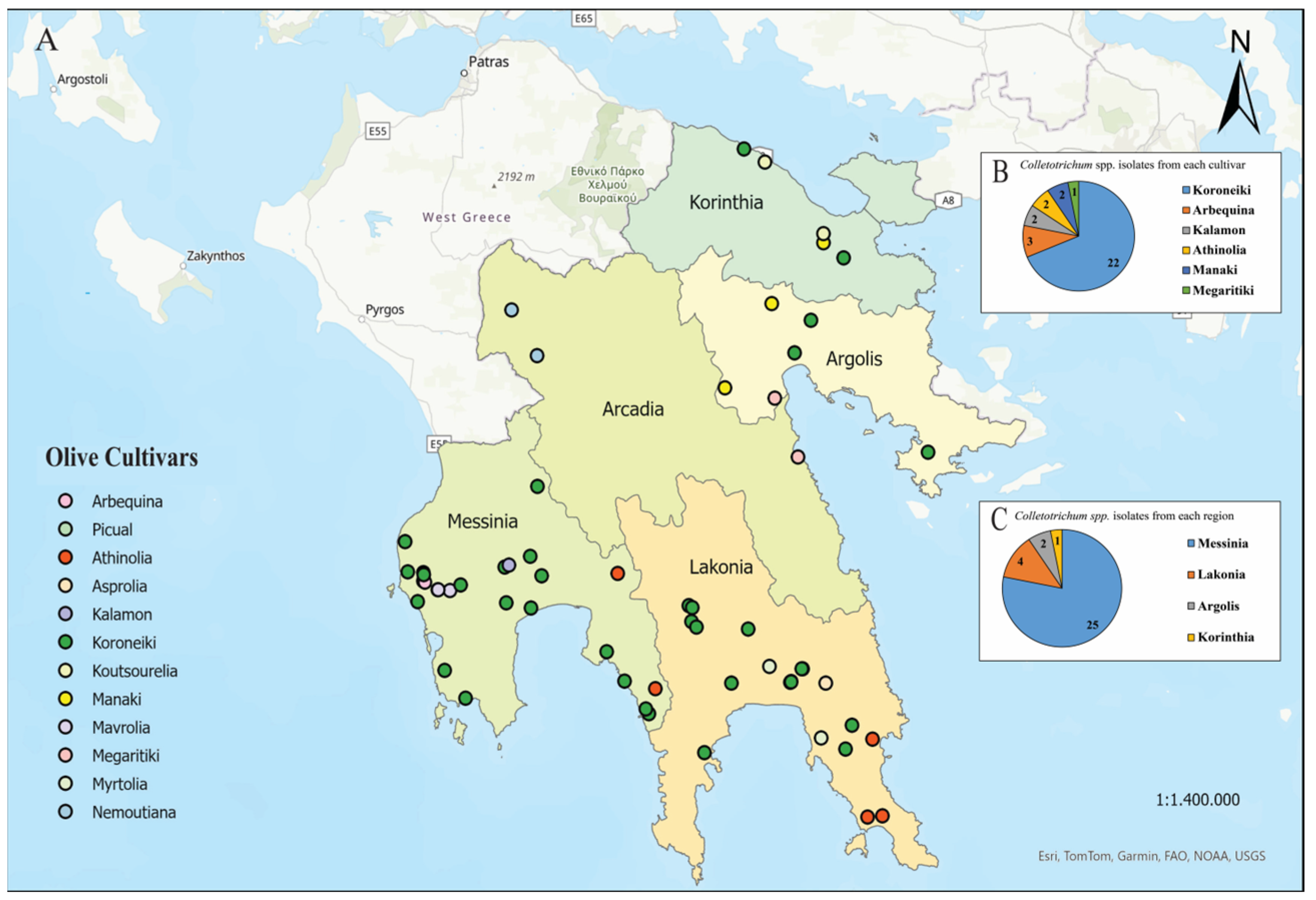 Horticulturae 10 00847 g001