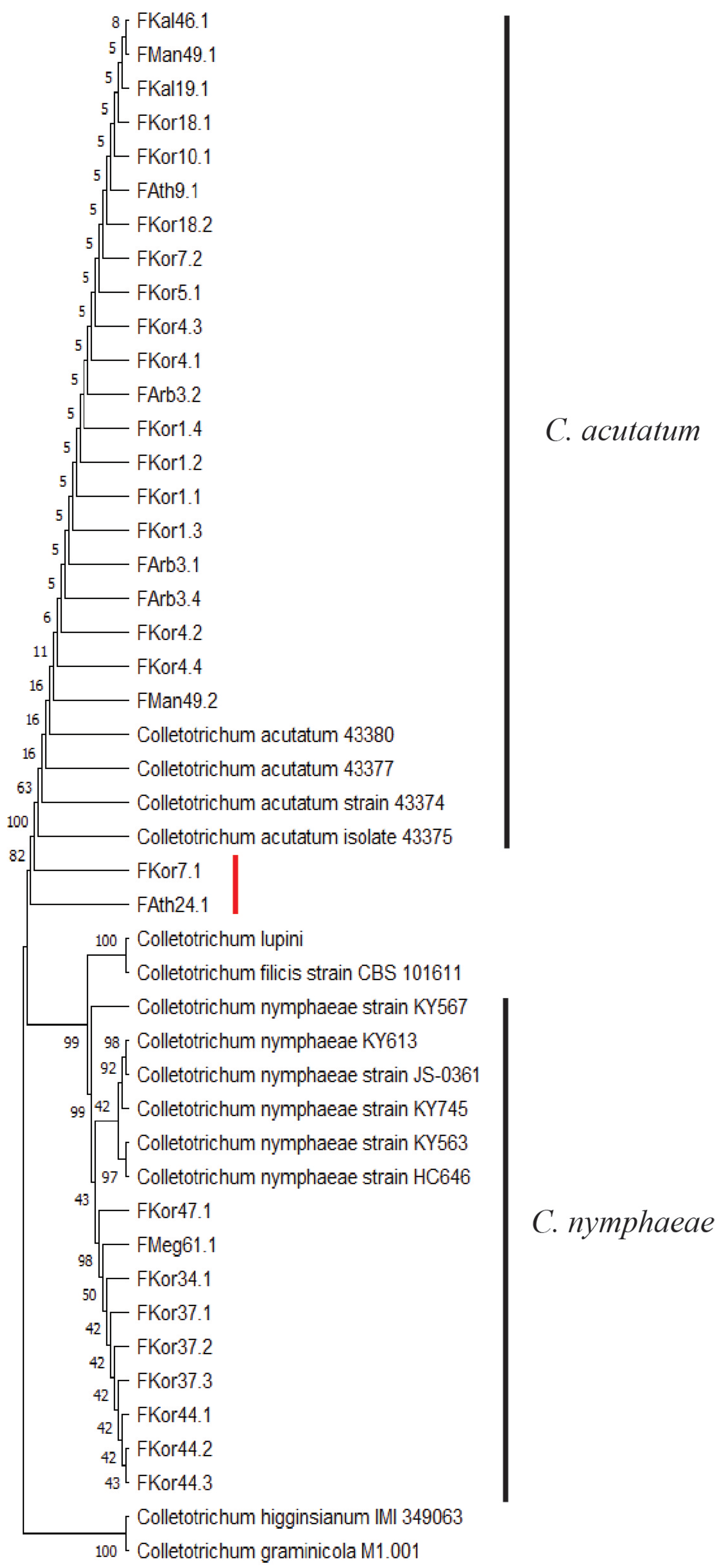 Horticulturae 10 00847 g003