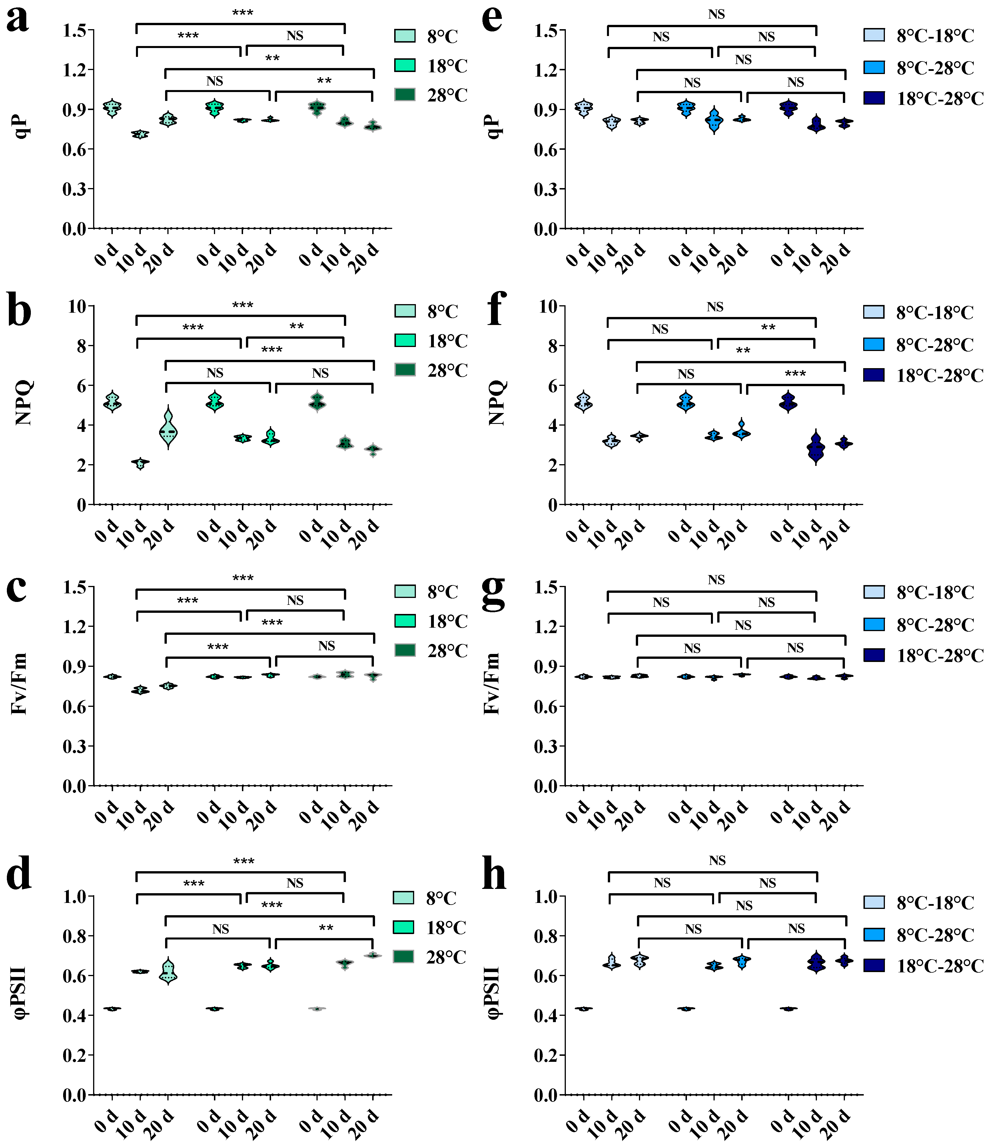 Horticulturae 10 00848 g003