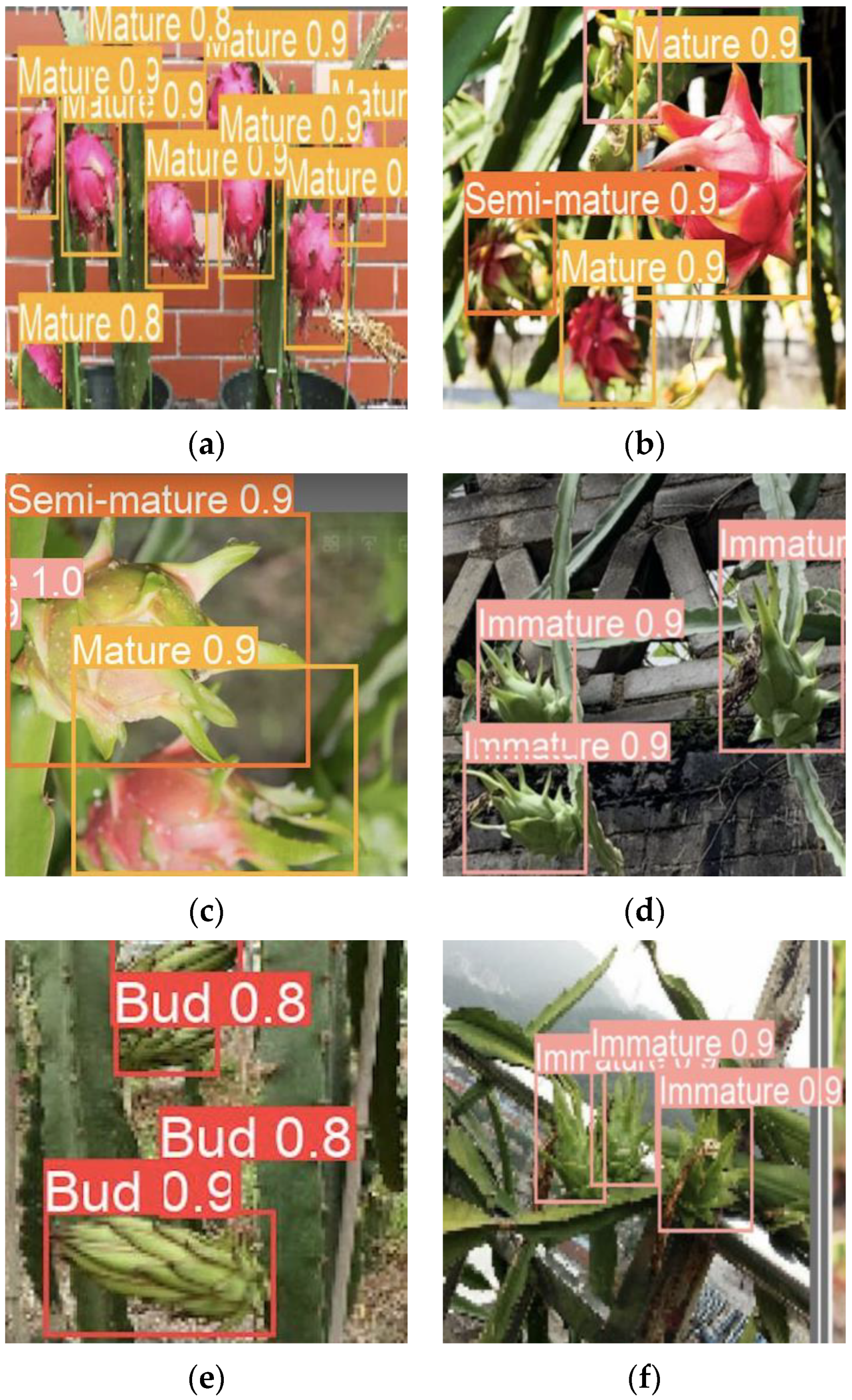 Horticulturae 10 00852 g009